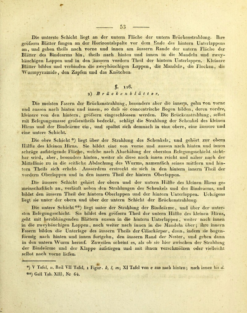 Die unterste Schicht liegt an der untern Fläche der untern Brüchenstrahlung. Ihre gröfsern Blätter fangen an der Horizontalspalte yor dem Ende des liintern Untcrlappens an, und gehen tlieils nach vorne und innen am äussern Rande der untern Fläclie der Blätter des Bindearms hin, theils nach hinten und innen in die Mandeln und zwey- häuchigen Lappen mid in den 'äussern vordem Theil der hintern Unterlappen. Kleinei’O Blätter bilden und verbinden die zweybäuchigen Lappen, die Mandeln, die Flocken, die Wurmpyramide, den Zapfen und das Knötchen. §. 116. 2) Brüclcenhlätter^ Die meisten Fasern der Brückenstrahlung, besonders aber die innern, gehn von vorne und aussen nach hinten und innen, so dafs sie concentrische Bogen bilden, deren vordre, kleinere von den hintern, gröfsern eingeschlossen werden. Die Brückenstrahlung, selbst mit Belegungsmasse grofsentheils bedeckt, schlägt die Strahlung der Schenkel des kleinen Hirns und der Bindeärme ein, und spaltet sich demnach in eine obere, eine äussere und eine untere Schicht. Die obre Schicht liegt über der Strahlung des Schenkels, und gehört zur obern Hälfte des kleinen Hirns. Sie bildet eine von vorne und aussen nach hinten und innen schräge aufsteigende Fläche, welche nach Abschälung der obersten Belegungsschicht sicht- bar wird, aber, besonders hinten, weiter als diese nach innen reicht und näher nach der Mittellinie zu in die seitliche Abdachung des Wurms, namentlich seines niittlern und hin- tern Theils sich erhebt. Ausserdem erstreckt sie sich in den hintern innern Theil der vordem Oberlappen und in den innem Theil der hintern Oberlappen. Die äussere Schicht gehört der obern und der untern Hälfte des kleinen Hirns ge- meinschaflhch an, verläuft neben den Strahlungen des Schenkels und des ßindearms, und bildet den äussern Theil der hintern Oberlappen und der hintern Unterlappen. Uebrigens liegt sie unter der obern und über der untern Schicht der Brückenstrahlung. Die untere Schicht^**) liegt unter der Strahlung der Bindeärme, und über der unter- sten Belegungsschicht. Sie bildet den gröfsern Theil der untern Hälfte des kleinen Hirns, geht mit herabhängenden Blättern aussen in die hintern ünterlappen, weiter nach innen in die zweybäuchigen Lappen, noch weiter nach innen in die Mandeln über 5 ihre innern Fasern bilden die Unterlage des äussern Theils der Ciharkörper, dann, indem sie bogen- förmig nach hinten und innen fortgehn, den äussern Rand der Nester, und gehen dann in den untern W^urm herauf. Zuweilen scheint es, als ob sie hier zwischen der Strahlung der Bindeärme und der Klappe aufstiegen und mit ihnen versclimöizen oder vielleicht selbst nach vorne liefen. r . -r *) V Tafel, u. Reil VII Tafel, 1 Figur. /, XI Tafel von c aus nach hinten; nach innen bi.s d. Gail Tab. XIII, Nr 64.