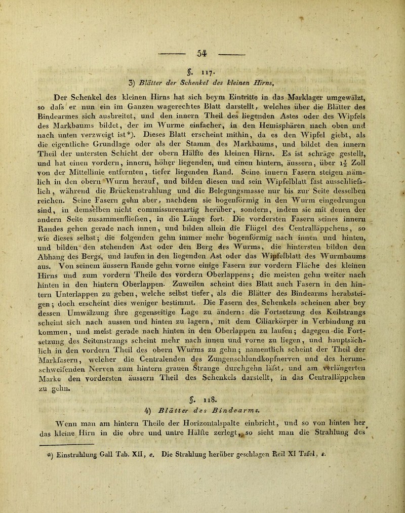 ^ 117* 3) Blätter der Schenkel des kleinen Hirns, Der Schenkel des kleinen Hirns hat sich beym Eintiätte in das Marklager uragewälzt, so dafs er nun ein im Ganzen wagerechtes Blatt darstellt, welches über die Blätter des Bindearmes sich ausbreitet, und den innern Theil des liegenden i\stes oder des Wipfels des JMarkbaums bildet, der im Wunne einfacher, in den Hemisphären nach oben und nach unten verzweigt ist*}. Dieses Blatt erscheint mithin, da es den Wipfel giebt, als die eigentliche Grundlage oder als der Stamm des Markbaums, und bildet den innein Theil der untci’sten Schicht der obern Hälfte des kleinen Hirns. Es ist schräge gestelh, und hat einen vordem, innern, höher liegenden, und einen hintern, äussern, über i-| Zoll vo-n der Mittellinie entfernten, tiefer liegenden B.and. Seine innern Fasern steigen näm- lich in den obern Wurm hei'auf, und bilden diesen und sein W^ipfelblatt fast ausschliefs- lich, während die Brückenstrahlung und die Belegungsniasse nur bis zur Seite desselben reichen. Seine Fasern gehn aber, nachdem sie bogenförmig in den Wurm eingedrungen sind, in demselben nicht commissurenartig herüber, sondern, indem sie mit denen der andern Seite zusammenfliefsen, in die Länge fort- Die vordersten Fasern seines innern Piandes gehen gex'ade nach innen, und bilden allein die Flügel des Centralläppcheus, so wie dieses selbst; die folgenden gehn immer mehr bogenförmig nach innen und hinten, und bilden den stehenden Ast oder den Bei’g des Wurms, die hintersten bilden den Abhang des Bei’gs, und laufen in den liegenden Ast oder das Wipfelblatt des Wurmbaums aus. Von seinem äussern Piande gehn vorne einige Fasern zur vordem Fläche des kleinen Hirns und zum vordem Theile des vordem Oberlappens; die meisten gehn weiter nach hinten in den hintern Oberlappen. Zuweilen scheint dies Blatt auch Fasern in den hin- tern Untei’lappen zu geben, welche selbst tiefer, als die Blätter des Bindearnis herabstei- gen; doch erscheint dies weniger bestimmt. Die Fasern des. Schenkels scheinen aber bey dessen Umwälzung ihre gegenseitige Lage zu ändern: die Fortsetzung des Keilsti'angs scheint sich nach aussen und hinten zu lagern, mit dem Ciliarkörper in Verbindung zu kommen, und meist gerade nach hinten in den Oberlappen zu laufen; dagegen die Fort- setzung des Seitenstrangs scheint mehr nach innen und vorne zu liegen, und hauptsäch- lich in den vordem Theil des obern W^urms zu gehn; namentlich scheint der Theil der Markfasern, welcher die Centralenden des Zungenschlundkopfnerven und des herum- schweifenden Nerven zum hinteni grauen Strange durchgehn läfst, und am verlängerten Marke den vordersten äussern Theil des Schenkels darstellt, in das Ceutralläppchen zu gehn. §. ii8. 4) Blätter des B in de arm s. Wenn man am hintern Theile der Horizontalspalte einblicht, und so von binteii her^ das kleine Hirn in die obre und untre Hälfte zerlegt,^so sieht man die Strahlung des *) Einstrahlung Gail Tab. XII, e. Die Strahlung herüber geschlagen P».eil XI Tafel, s.