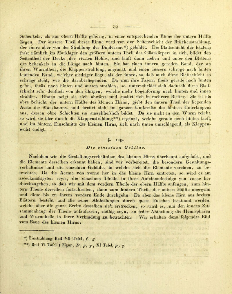 Schenkels, als zur obern Hälfte gehörig, in einer entsprechenden Piinne der nntern Hälfte liegen. Der äussere Theil dieser Rinne wird von der Seitenscliiclit der Brückenstrahlung, der innre aber von der Strahlung der Bindeärme*) gebildet. Die Blattschicht der letztem fafst nämlich im Marldager den gröfsern untern Theil des Ciliarkörpers in sich, bildet den Seitentheil der Decke der vierten Höhle, und läuft dann neben und unter den Bl.ttern des Schenkels in die Länge nach hinten. Sie hat einen innern geraden Rand, der an ihren Wurintheil, die Klappenstrahlung, angränzt, und einen äussern schräge nach hinten laufenden Rand, welcher niedriger liegt, als der innrej so dafs auch diese Blatlschicht so schräge steht, wie die darüberliegenden. Da nun ihre Fasei’n theils gerade nach hinten gehn, theils nach hinten und aussen strahlen, so untei’scheidet sich dadurch diese Blatt- schicht sehr deutlich von den übrigen, welche mehr bogenförmig nach hinteix und innen strahlen. Hinten neigt sie sich abAvärts und spaltet sich in mehrex’e Blätter. Sie ist die obre Schicht der untern Hälfte des kleinen Hirns, giebt den untei'n Theil der liegenden Aeste des Markbaums, und breitet sich im ganzen ümkreifse des hintern Unteilappens aus, dessen obre Schichten sie ausschliefslich bildet. Da sie nicht in den Wurm reicht, so wird sie hier durch die Klappenstrahlung**) ergänzt, welche gerade nach hinten läuft, und im hintei’n Einschnitte des kleinen Hirns, sich nach unten uuisclilageud, als Klappen- wulst endigt. §. iig. Die einzelnen Gebilde, Nachdem wir die Gestaltungsverhältnisse des kleinen Hirns überhaupt aufgefafst, und die Elemente desselben erkannt haben, sind wir vorbereitet, die besondern Gestaltungs- verhältnisse und die einzelnen Gebilde, in welche sich die Elemente vereinen, zu be- trachten. Da die Aerme von vorne her in das kleine Hirn eintretea, so ward es am zweckmäfsigsten seyn, die einzelnen Theile in ihrer Aufeinanderfolge von vorne her durchzugehen, so dafs Avir mit dem vordem Theile der obern Hcälfte anfangen, zum hin- tern Theile derselben fortschreiten, dann zum hintern Theile der untern tlälfte übergehn und diese bis zu ihrem vordem Ende durchgehn. Da aber das kleine Hii'n aus breiten Blättern besteht und alle seine Abtlieilungen durch quere Furchen bestimmt werden^ W'elche über die ganze Breite desselben sich erstrecken, so wird es, .um den innern Zu- sammenhang der Theile aufzufassen, nöthig seyn, an jeder Abtheilung die Hemisphären und Wurmtheile in ihrer Verbindung zu betrachten. Wir ex’halten dann folgendes Bild vom Baue des kleinen Hirns: *) Einstrahlung Reil VII Tafel,/, g. **) Reil VI Tafel i Figur, D, p, g, XI Tafel, p, q.