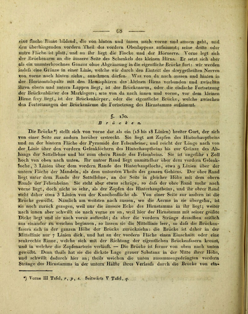 C8 .eine flaclie Rinne bildend, die von liinten und innen nach vorne und aussen geht, und •d.en überhängenden vordem Theil des vordem Oberlappens aufnimmt; seine drille oder untre Fläche ist platt, und an ihr liegt die Flocke und der Hömerve. Vorne legt sich der Brückenarm an die äussere Seite des Schenkels des kleinen Hirns. Er setzt sich aber als ein ununterbrochnes Ganzes ohne Abgränzmig in die eigentliche Brücke fort: wir werden indefs eine Gränze in einer Linie, welche wir durch den Flintrilt des dreygetheilten Nerven von vorne nach hinten ziehn, annehmen dürfen. Was von da nach aussen und liinten in der Horizontalspalte mit den Flemisphären des'kleinen Hirns verbunden und zwischen ihren obei'n und untern Lappen liegt, ist der Brückenarm, oder die einfache Fortsetzung dev Bi'ückenblätler des Marklagers; was von da nach innen und vorne, vor dem kleinen Hirne frey liegt, ist der Brückenkörper, oder die eigentliche Brücke, welche zwischen den Fortsetzungen der Brückenäi’me die Foitselzung des Hirnstamms aufnimmt. §. i3o. Brüchen. Hie Brücke*) stellt sich von vorne dar als ein (i5 bis i8 Linien) breiter Gurt, der sich von einer Seite zur andern herüber erstreckt. Sie liegt am Zapfen des Hinterbauptbeins und an der hintern Fläche der Pyramide der Felsenbeine, und reicht der Länge nach von der Linie über den vordem Gelenklöchern des Hinterhauptbeins bis zur Gränze des Ab- hangs der Satlellehne und bis zum obem Rande des Felsenbeins. Sie ist ungefähr i Zoll hoch von oben nach unten. Ihr untrer Rand liegt unmittelbar über dem vordem Gelenk- loche , 3 Linien über dem vordem Rande des Hinterhauptlochs, etwa 9 Linien über der untern Fläche der Mandeln, als dem untersten Theile des ganzen Gehirns. Der obre Rand liegt unter dem Rande der Sattellehne, an der Seite in gleicher Höhe mit dem obem Rande der Felsenbeine. Sie steht aber etwas schräge, so dafs der obre Rand mehr nach vorne liegt, doch nicht so sehr, als der Zapfen des Hinterhauptbeins, und ihr obrer Rand steht daher etwa 3 Linien von der Knochenfläche ab. Von einer Seite zur andern ist die Brücke gewölbt. Nämlich am weitsten nach aussen, wo die Aerme in sie übergehn, ist sie noch zurück gezogen, weil nur die äussere Ecke des Hirnstamms in ihr liegt; w'eiter nach innen aber schwillt sie nach vofne zu an, weil hier der Hirnstamm mit seiner gröfste Dicke liegt und sie nach vorne auftreibt; da aber die vordem .Stränge desselben seitlich aus einander zu weichen beginnen, so lassen sie die Mittellinie leer, so dafs die Brücken- fasern sich in der ganzen Höhe der Brücke zuinickziehn: die Brücke ist daher in der Mittellinie nur 7 Linien dick, und hat an der vordem Fläche einen Einschnitt oder eine senkrechte Rinne, welche sich mit der Richtung dex* eigentliclien Brückenfasei’n kreuzt, und in welcher die Zapfenai'terie verläuft. — Die Brücke ist ferner von oben nach unten gewölbt. Denn theils hat sie die dickste Lage grauer .Substanz in der Mitte ihrer Höhe, und schwillt dadurch hier an; theils weichen die unten zusammengedrängten vordem Stränge des Hirnstamms in der xmtern Hälfte ihi'es Verlaufs durch die Brücke von ein-«