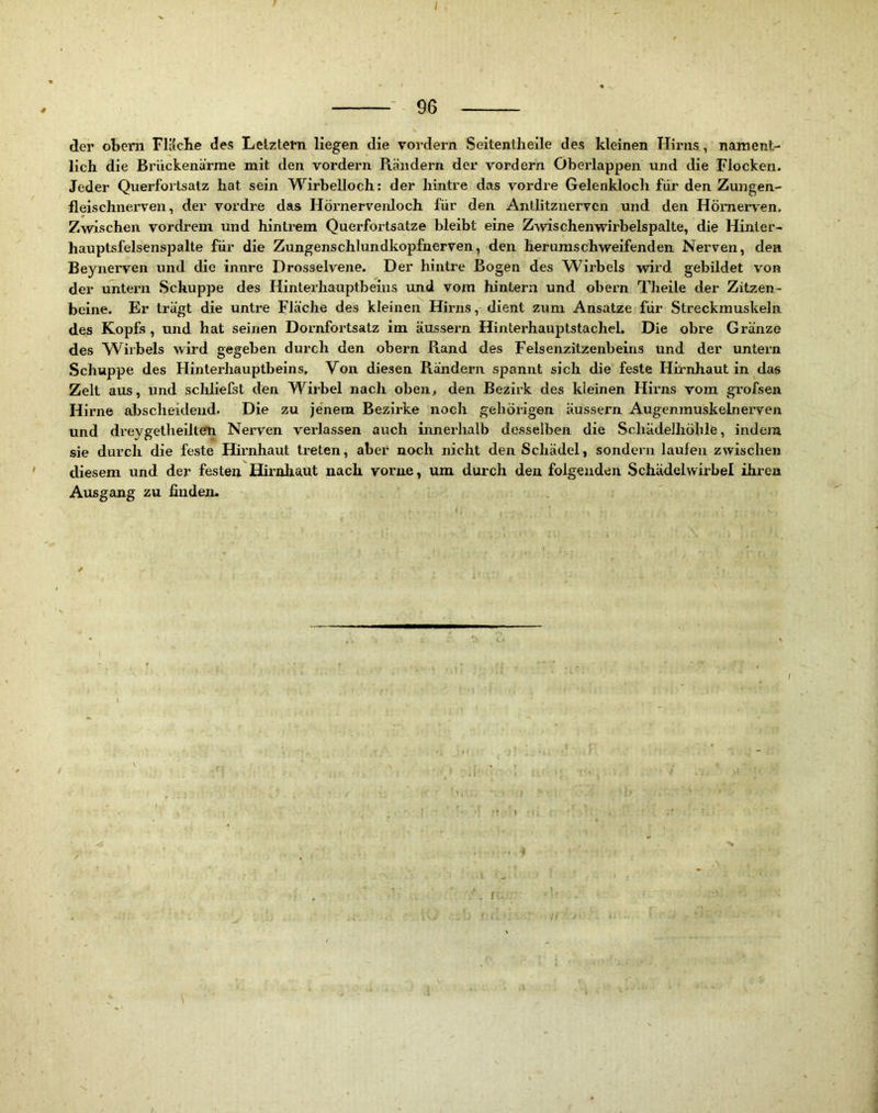 der obcm FlacKe des Letztem liegen die vordei^n Seitentlieile des kleinen Hirns, nament- lich die Brückeniirrae mit den vordem Rändern der vordem Öberlappen und die Flocken. Jeder Querfortsatz hat sein Wirbelloch: der hintre das vordre Gelenldoch für den Zungen- fleischnerven, der vordre das Höi’nervenloch für den Antlitznervcn und den Hömerven, Zwischen vordrem und hintrem Querfortsatze bleibt eine Z-wischenwirbelspalte, die Hinter- hauptsfelsenspalte für die Zungenschlundkopfnerven, den herumschweifenden Nerven, den Beynerven und die innre Drosselvene. Der hintre Bogen des Wirbels wird gebildet von der untern Schuppe des Hinterhauptbeins und vom hintern und obern Theile der Zitzen- beine. Er trägt die untre Fläche des kleinen Hirns, dient zum Ansätze für Streckmuskeln des Kopfs, und hat seinen Dornfortsatz im äussern Hinterhauptstachel. Die obre Gränze des Wirbels wird gegeben durch den obern Rand des Felsenzitzenbeins und der untern Schuppe des Hinterhauptbeins, Von diesen Rändern spannt sich die feste Hirnhaut in das Zelt aus, und sclüiefst den Wirbel nach oben, den Bezirk des kleinen Hirns vom grofsen Hirne abscheideud. Die zu je'nem Bezirke noch gehörigen äussern Augenmuskelnerven und dreygetlieiltem Nerven verlassen auch innerhalb desselben die Schädelhöhlfe, indem sie durch die feste Hirnhaut treten, aber noch mcht den Schädel, sondern laufen zwischen diesem und der festen Hirnhaut nach vorne, um durch den folgenden Schädelwirbel ihren Ausgang zu finden.