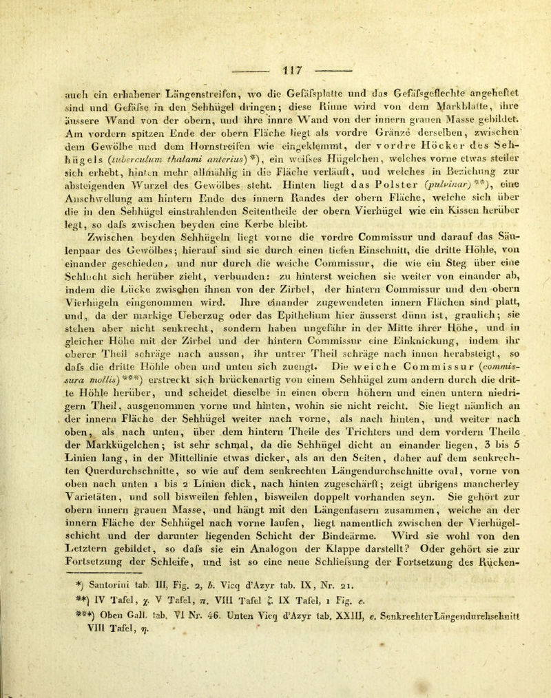 auch ein erhabener Längenslreifen, wo die Gefäfsplatte und das Gefäfsgeflechte angeheftel sind und Gefafse in den Sehhiigel dringen; diese Piiuiie ward von dem Markhlaite, ihre äussere Wand von der ohern, und ihre innre Wand von der innern grauen Masse gebildet. Am vordem spitzen Ende der obern Fläche liegt als vordre (irtänze derselben, zwischen dem Gewölbe und dem Hornstreifen wae eingeklemmt, der vordre Höcker des Seh- hügels {tuhercidum thalami anterius)^') ^ ein weilses Hiigelchen, welches vorne etwas steiler sich erhebt, hinten mehr alitnählig in die Fläclie verläuft, und welches in ßeziehung zur absteigenden Wurzel des Gewölbes sieht. Flinten liegt das Polster (jyulwinaf) ^ eine Anschwellung am hintern Ende des innern Randes der obern Fläche, welche sich über die in den Sehhügel einstrahlenden Seitentheile der obern Vierhügel wie ein Kissen herüber legt, so dafs zwischen beyden eine Kerbe bleibt. Zwischen beyden Sehhügeln liegt voine die vordre Commissur und darauf das Säu- lenpaar des Gewölbes; hierauf sind sie durch einen tiefen Einschnitt, die dritte Flöhle, von einander geschieden, und nur durch die weiche Commissur, die wie ein Steg über eine .Schlucht sich herüber zieht, verbunden: zu hinterst weichen sie w^eiler von einander ab, indem die Lücke zwasclien ihnen von der Zirbel, der hintern Commissur und den obern Vierhügeln eingenoinmen wird. Ihre einander zugewendeten innern Flächen sind platt, und, da der markige Ueberzug oder das Epilhelium hier änsserst dünn ist, graulich; sie stehen aber nicht senkrecht, sondern haben ungefähr in der Mitte ihrer Höhe, und in gleicher Höhe mit der Zirbel und der hintern Commissur eine Einlcnickung, indem ihr oberer Theil schräge nach aussen, ihr untrer Theil schräge nach innen herabsLeigt, so dafs die dritte Hölile oben und unten sich zuengt. Die weiche Commissur {coinmis- sura niollls) erstrec kt sich hrückenartig von einem .Sehhügel zum andern durch die drit- te Höhle herüber, und scheidet dieselbe in einen ohern hohem und einen nntern niedri- gem Theil, ausgenommen vorne und hinten, wohin sie nicht reicht. Sie liegt nämlich au der innern Fläche der Sehhügel weiter nach vorne, als nach hinten, und weiter nach oben, als nach unten, über dem hintern Theile des Trichters und dem vordem Theile der Markkügelchen; ist sehr schnjal, da die Sehhügel dicht an einander liegen, 3 bis 5 Linien lang, in der Mittellinie etwas dicker, als an den Seiten, daher auf dem senkrech- ten Querdurcbschnitte, so wie auf dem senkrechten Längendurchschnitle oval, vorne von oben nach unten i bis 2 Linien dick, nach hinten zugeschärft; zeigt übrigens mancherley Varietäten, und soll bisw^eilen fehlen, bisweilen doppelt vorhanden seyn. Sie gehört zur obern innern grauen Masse, und liängt mit den Längenfasern zusammen, w^elche an der innern Fläche der Sehhiigel nach vorne laufen, liegt namentlich zwischen der Vierhügel- schicht und der darunter liegenden Schicht der Bindeärme. Wird sie wohl von den Letztem gebildet, so dafs sie ein Analogon der Klappe darstellt? Oder gehört sie zur Fortsetzung der .Schleife, und ist so eine neue Schliefsung der Fortsetzung des Rücken- Santoriui tab. Ilf Fig. 2, h. Vicq d’Azyr tab. IX, Nr. 2i. ' IV Tafel, X- V Tafel, n. VJII Tafel I IX Tafel, i Fig. Oben Gal), tab. VI Nr. 46. Unten Vicq d’Azyr tab. XXllI, e. SenkrechterLäiigendnrelisclinitl Vm Tafel, tj.-