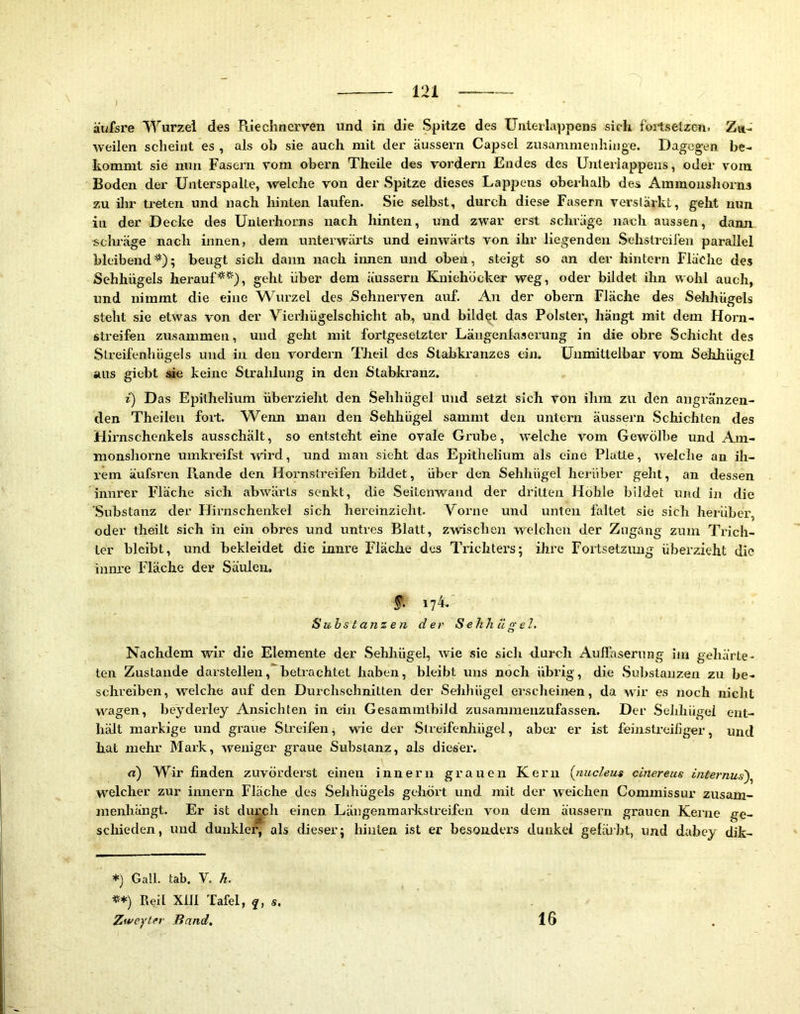 äufsre VYurzei des Piiechnerven und in die Spitze des Unterlappens sich feilselzcn. Za- weilen scheint es , als ob sie auch mit der äussern Capsel zusammenhinge. Dagegen, be- kommt sie nun Fasern vom obern Theile des vordem Endes des Unlerlappeiis, oder vom Boden der ünterspalte, welche von der Spitze dieses Lappens oberhalb des Ammonshorns zu ilir treten und nach liinten laufen. Sie selbst, durch diese Fasern verstärkt, geht nun in der Decke des Untei'horns nach hinten, und zwar erst schräge nach aussen, dann schräge nach innen, dem unterwärts und einwärts von ihr liegenden .Sehslreifeii parallel bleibend*); beugt sich daun nach innen und oben, steigt so an der hintern Fläche des Sehhügels herauf**), geht über dem äussern Kuiehocker weg, oder bildet ilm wohl auch, und nimmt die eine Wurzel des Sehnerven auf. Au der obern Fläche des Sehhügels steht sie etwas von der Yierliügelschicht ab, und bildet das Polstei', hängt mit dem Horn- streifen zusammen, und geht mit fortgesetzter Läugenfaserung in die obre .Schicht des Streifenhügels und in den vordem Theil des Stabkranzes ein. Unmittelbar vom Sehhügel aus giebt sie keine Strahlung in den Stabkranz. t) D as Epilhelium überzieht den .Sehhügel und setzt sich von ilim zu den angränzen- tlen Theilen foit. Wenn man den Sehhügel sammt den untern äussern Schichten des Hirnschenkels ausschält, so entsteht eine ovale Grube, welche vom Gewölbe und Am- monshorne umki’eifst wird, und man sieht das Epithelium als eine Platte, welclie an ih- rem äufsren Rande den Hornstreifen bildet, über den Sehhügel herüber geht, an dessen innrer Fläche sich abwärts senkt, die Seilenwaiid der dritten Höhle bildet und in die Substanz der Hirnschenkel sich hereinzieht. Vorne und unten faltet sie sich herüber, oder theilt sich in ein obres und untres Blatt, zwischen welchen der Zugang zum Trich- ter bleibt, und bekleidet die innre Fläche des Trichters; ihre Fortsetzung überzieht die inm'e Fläche der Säulen. 174. Substanzen der Sehhägel. Nachdem wir die Elemente der Sehhügel, wie sie sicli durch Auffasertuig im geliärte- ten Zustande darstellen, betrachtet haben, bleibt uns noch übrig, die Substanzen zu be- schreiben, w’^elche auf den Durchschnitten der Sehhügel erscheinen, da wir es noch nicht wagen, beyderley Ansichten in ein Gesammlhild zusaminenzufassen. Der Sehhügei ent- hält markige und graue Streifen^ wie der Slreifcnliügel, aber er ist feiirstreifiger, und hat mehr Mark, weniger graue Substanz, als dieser*. a) Wir finden zuvördei’st einen innern grauen Kern {nucleus cinereus internus\ welcher zur innei’n Flache des Sehhügels gehört und mit der weichen Commissur zusam- nienhängt. Er ist du^ch einen Läugenmaidcstreifen von dem äussern grauen Kerne ge- schieden, und dunkler, als dieser; hinten ist er besonders duakei gefäibt, und dabey dik- *) Gail. täb. V. h. «*) Reil Xm Tafel, s. Ziveyter Band, 16