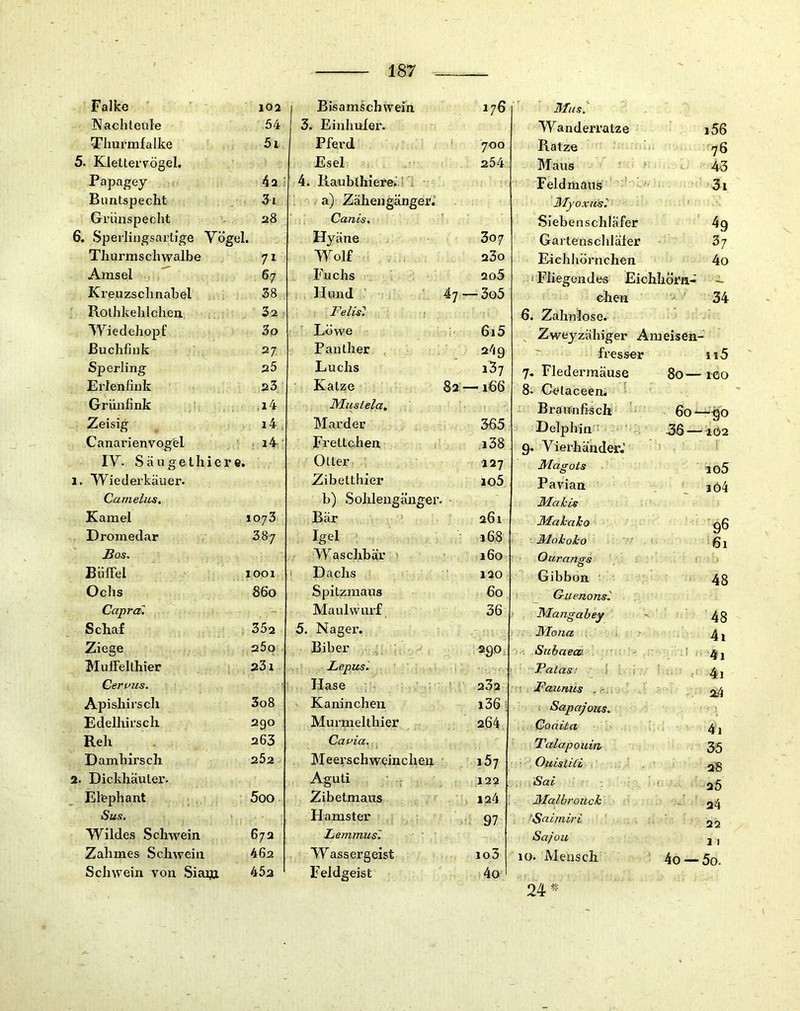 achteule 54 Tliurmfalke 5i 5. Kletteiwögel. Papagey 42 : Buntspecht 3i Grünspecht 28 6, Sperlingsartige Vögel. Thurmschwalbe 71 Amsel 67 Kreuzschnabel 38 Rothkehlchen 32 Wiedehopf 3o Buchfink 27 Sperling 25 Erlenfiuk 23 Grünfink ,i4 Zeisig i4 Canarienvogfel i4 IV. S ä u g e t h i e r e. 1. Wiederkäuer. Camelus, Kamel 1073 Dromedar 387 ßos. Büffel 1001 Ochs 860 Capra. Schaf 352 Ziege 25o Muffel thier 231 Qeruus. Apishirsch 3o8 Edelhirsch 290 Reh 263 Damhirsch 2Ö2 2. Dickhäuter. Elephant 5oo Sus. Wildes Schwein 672 Zahmes Schwein 462 Schwein von Siam 452 187 3. Einhuler. Pferd 700 Esel 254 4. Kaublhiere.’ ^ . a) Zäheugäiiger.' Canis. Hyäne 307 Wolf 23o Fuchs 2o5 Hund ' 4y — 3o5 Felis^ Löwe 615 Panther Luchs iSy Katze 82 — 166 Mustelut Marder 565 Frettchen i38 Otter 127 Zibetthier io5 b) Sohlengänger. Bär ’ 261 Igel 168 Waschbär ' 160 i Dachs 120 Spitzmaus 60 Maulwurf 36 5. Nager. Biber 290, Lepusl Hase 232 Kaninchen i36; Murmelthier 264 Cauia. Meerschweinchen 167 Aguti Zibetmans Hamster Lemmus'. Wassergeist Feldgeist Wanderratze i56 Ratze 76 Maus f 45 Feldmans 3i MyoxiOs'. Siebenschläfer ^9 Gartenschläfer 37 Eichhörnchen 4o i Fliegendes Eichhöm- - ehen 34 6. Zahnlose. Zweyzähiger Ameisen- fresser ii5 7. Fledermäuse 80—leo 8- Cefaceen. Braunfis eil ' 60—^0 Delphin 56—162 g. Vierhänder.’ Magots 205 Pavian iö4 Makis Mahaho 96 Mokoko 61 Ouranffs 0 Gibbon 48 Guenonsi Mangahey 48 Mona 4i . Subaea'. * 4i Patas: ■ 1 1 4i Faxoniis . r 2.4 Sapajous, Conita 4i Talapouiii 35 Ouisiiti 2'8 Sai 25 Malhrouck 24 ‘Snimiri 22 Sa/Olt 1 1 10. Mensch 1 0 24^' 124 97 io5 4o