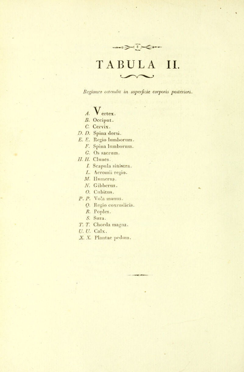 TABULA II. Regiones- ostendit in superficie corporis posteriori. B. Occiput. C. Cervix. D. D. Spina dorsi. E. E. Regio lumborum. F. Spina lumborum. C. Os sacrum. //.//. Clunes. /. Scapula sinistra. L. Acromii regio. M. Humerus. N. Gibberus. O. Cubitus. P. P. Vola manus. Q. Regio coxendicis. R. Poples. S. Sura. T. T. Chorda magna. U. U. Calx. X. X. Plantae pedum.