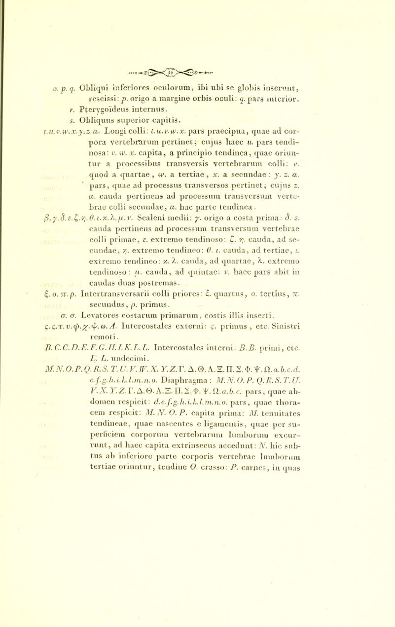 rescissi: p. origo a margine orbis oculi q. pars interior. r. Pterygoideus internus. s. Obliquus superior capitis. t.u.v.w,x.y,z.a. Longi colli: t.u.v.w.x. pars praecipua, quae ad cor- pora vertebrarum pertinet; cujus haec u. pars tendi- nosa: v. w. x. capita, a principio tendinea, quae oriun- tur a processibus transversis vertebrarum colli: v. quod a quartae , w. a tertiae , x. a secundae : y. z. a, pars, quae ad processus transversos pertinet; cujus s. a. cauda pertinens ad processum transversum verte- brae colli secundae, a. hac parte tendinea. .iq.O.i.x.k.pL.v. Scaleni medii: y. origo a costa prima. S\ s. cauda pertinens ad processum transversum vertebrae colli primae, e. extremo tendinoso: £. r\. cauda, ad se- cundae, rt. extremo tendineo: 0. i. cauda, ad tertiae, t. extremo tendineo: x. k. cauda, ad quartae, k. extremo tendinoso: [i. cauda, ad quintae: v. haec pars abit in caudas duas postremas. |. o. n. p. Intertransversarii colli priores: L quartus, o. tertius, 7V. secundus, p. primus. cr. <j. Levatores costarum primarum, costis illis inserti. g.g.T.v.<p.%.ty.a.A. Intercostales externi: g. primus, etc. Sinistri remoti. B.C.C.D.E.F.G.H.I.K.L.L. Intercostales interni: B,B. primi, etc. L. L. undecimi. M. N. O. P. Q. B. S. T. U. V. W. X. Y.Z. T. A. 0. A. E. II. 2. L. L. Q.a. b.c.d. c.f.g. h.i. k. L. m. n. o. Diaphragma : M. N. O. P. Q. K. S. T. U. V. X. Y. Z. F. A. 0. A. S. II. A. ‘P. L. Cl.a. b. c. pars, quae ab- domen respicit: d.e.f.g.h.i.k.l.m.n.o. pars, quae thora- cem respicit: M. N. O.P. capita prima: M. tenuitates tendineae, quae nascentes e ligamentis, quae per su- perficiem corporum vertebrarum lumborum excur- runt, ad haec capita extrinsecus accedunt: N. hic sub- tus ab inferiore parte corporis vertebrae lumborum tertiae oriuntur, tendine O. crasso: P. carnes, in quas