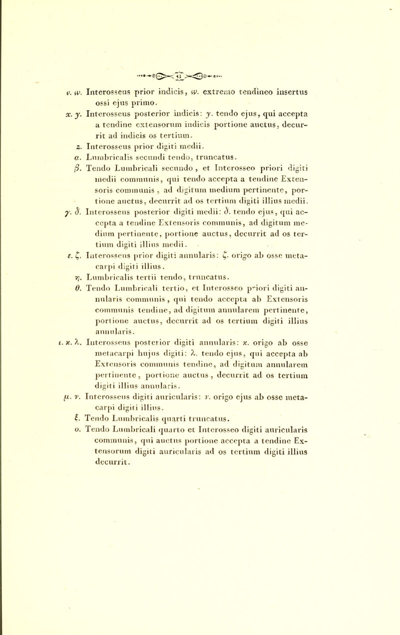• • • ® — 0 J. r ^=-^3 ©0 * • * v. w. Interosseus prior indicis, w. extremo tendineo insertus ossi ejus primo, oc. y. Interosseus posterior indicis: y. tendo ejus, qui accepta a tendine extensorum indicis portione auctus, decur- rit ad indicis os tertium. z. Interosseus prior digiti medii. а. Lumbricalis secundi tendo, truncatus. (y. Tendo Lumbricali secundo , et Interosseo priori digiti medii communis, qui tendo accepta a tendine Exten- soris communis , ad digitum medium pertinente, por- tione auctus, decurrit ad os tertium digiti illius medii. y. 8. Interosseus posterior digiti medii: o. tendo ejus, qui ac- cepta a tendine Extensoris communis, ad digitum me- dium pertinente, portione auctus, decurrit ad os ter- tium digiti illius medii. . ■ s. £. Interosseus prior digiti annularis: £. origo ab osse meta- carpi digiti illius. 7/. Lumbricalis tertii tendo, truncatus. б. Tendo Lumbricali tertio, et Interosseo priori digiti an- nularis communis , qui tendo accepta ab Extensoris communis tendine, ad digitum annularem pertinente, portione auctus, decurrit ad os tertium digiti illius annularis. i.x.X. Interosseus posterior digiti annularis: x. origo ab osse metacarpi hujus digiti: %. tendo ejus, qui accepta ab Extensoris communis tendine, ad digitum annularem pertinente, portione auctus, decurrit ad os tertium digiti illius annularis. (i. v. Interosseus digiti auricularis: v. origo ejus ab osse meta- carpi digiti illius. L Tendo Lumbricalis quarti truncatus. o. Tendo Lumbricali quarto et Interosseo digiti auricularis communis, qui auctus portione accepta a tendine Ex- tensorum digiti auricularis ad os tertium digiti illius decurrit.