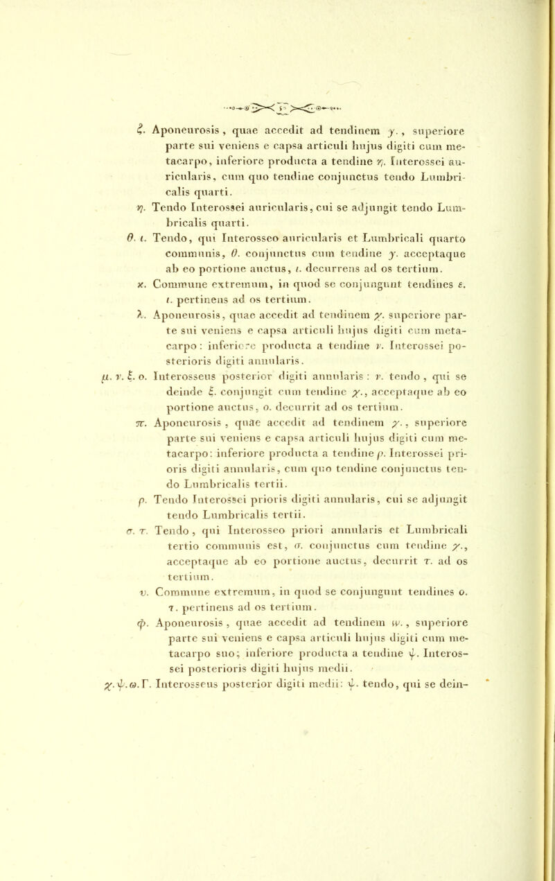 Aponeurosis , quae accedit ad tendinem y., superiore parte sui veniens e capsa articuli hujus digiti cum me- tacarpo, inferiore producta a tendine rh Interossei au- ricularis, cum quo tendine conjunctus tendo Lumbri- calis quarti. V}. Tendo Interossei auricularis, cui se adjungit tendo Lum- bricalis quarti. 0. i. Tendo, qui Interosseo auricularis et Lumbricali quarto communis, 0. conjunctus cum tendine y. acceptaque ab eo portione auctus, /. decurrens ad os tertium. x. Commune extremum, in quod se conjungunt tendines e. /. pertinens ad os tertium. X. Aponeurosis, quae accedit ad tendinem y. superiore par- te sui veniens e capsa articuli hujus digiti cum meta- carpo : inferiore producta a tendine v. Interossei po- sterioris digiti annularis. fi. v. t. o. Interosseus posterior digiti annularis : v. tendo , qui se deinde £. conjungit cum tendine y., acceptaque ab eo portione auctus, o. decurrit ad os tertium. 7T. Aponeurosis, quae accedit ad tendinem y., superiore parte sui veniens e capsa articuli hujus digiti cum me- tacarpo: inferiore producta a tendine p. Interossei pri- oris digiti annularis, cum quo tendine conjunctus ten- do Lumbricalis tertii. p. Tendo Interossei prioris digiti annularis, cui se adjungit tendo Lumbricalis tertii. <r. r. Tendo , qui Interosseo priori annularis et Lumbricali tertio communis est, a. conjunctus cum tendine p'., acceptaque ab eo portione auctus, decurrit r. ad os tertium. v. Commune extremum, in quod se conjungunt tendines o. 7. pertinens ad os tertium. cp. Aponeurosis , quae accedit ad tendinem w., superiore parte sui veniens e capsa articuli hujus digiti cum me- tacarpo suo; inferiore producta a tendine Interos- sei posterioris digiti hujus medii.