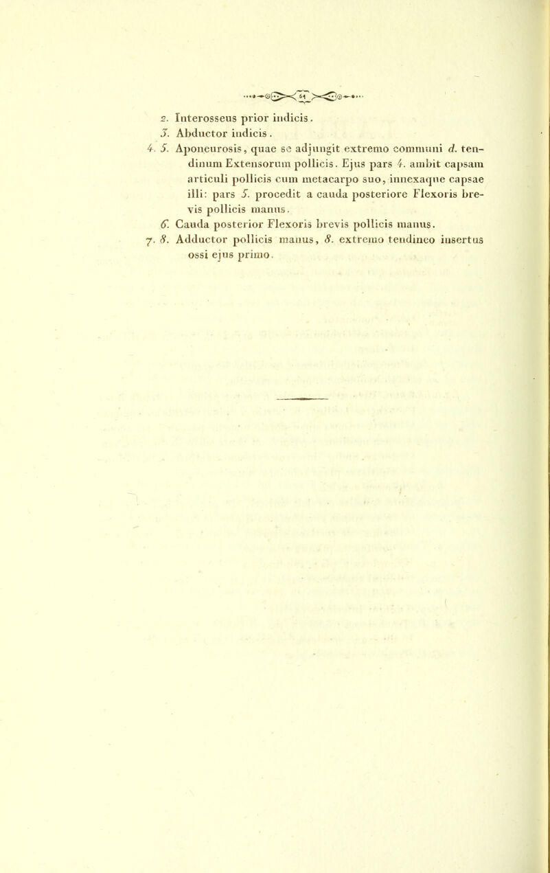 2. Interosseus prior indicis . J. Abductor indicis. 4-. 5. Aponeurosis, quae se adjungit extremo communi d. ten- dinum Extensorum pollicis. Ejus pars 4. ambit capsam articuli pollicis cum metacarpo suo, innexaque capsae illi: pars S. procedit a cauda posteriore Flexoris bre- vis pollicis manus. 6. Cauda posterior Flexoris brevis pollicis manus. 7. 8. Adductor pollicis manus, 8. extremo tendineo iusertus ossi ejus primo.