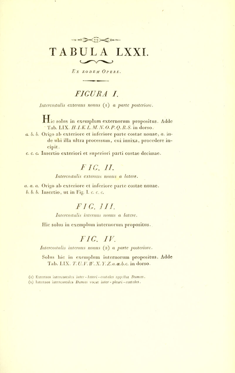 a -*® ■ z,9 ><<7 ®-^®. TABULA LXXI A x EODEM O P ERE. FIGURA I. Intercostalis externus nonus (i) a parte posteriore. tlic solus in exemplum externorum propositus. Adde Tab. LIX. H. I. K. L. M. N. O. P. Q. R. S. in dorso. a. b. b. Origo ab exteriore et inferiore parte costae nonae, a. in- de ubi illa ultra processum, cui innixa, procedere in- cipit . c. c. c. Insertio exteriori et superiori parti costae decimae. FJC. IT. Intercostalis externus nonus a latere. a. a. a. Origo ab exteriore et inferiore parte costae nonae. b. b. b. Insertio, ut in Fig. I. c. c. c. FIG. III. Intercostalis internus nonus a latere. Hic solus in exemplum internorum propositus. FIG. IV. Intercostalis internus nonus (a) a parte posteriore. Solus hic in exemplum internorum propositus. Adde Tab. LIX. T. U. V. W.X. Y.Z.a.ce.b.c. in dorso. (i) Externos intercostales inter - lateri - costales appellat Damas. (i) Internos intercostales Damas vocat inter - pleurl - costales.