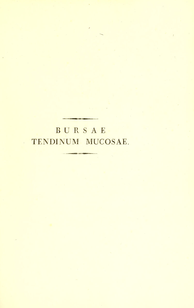 BURSAE TENDINUM MUCOSAE.