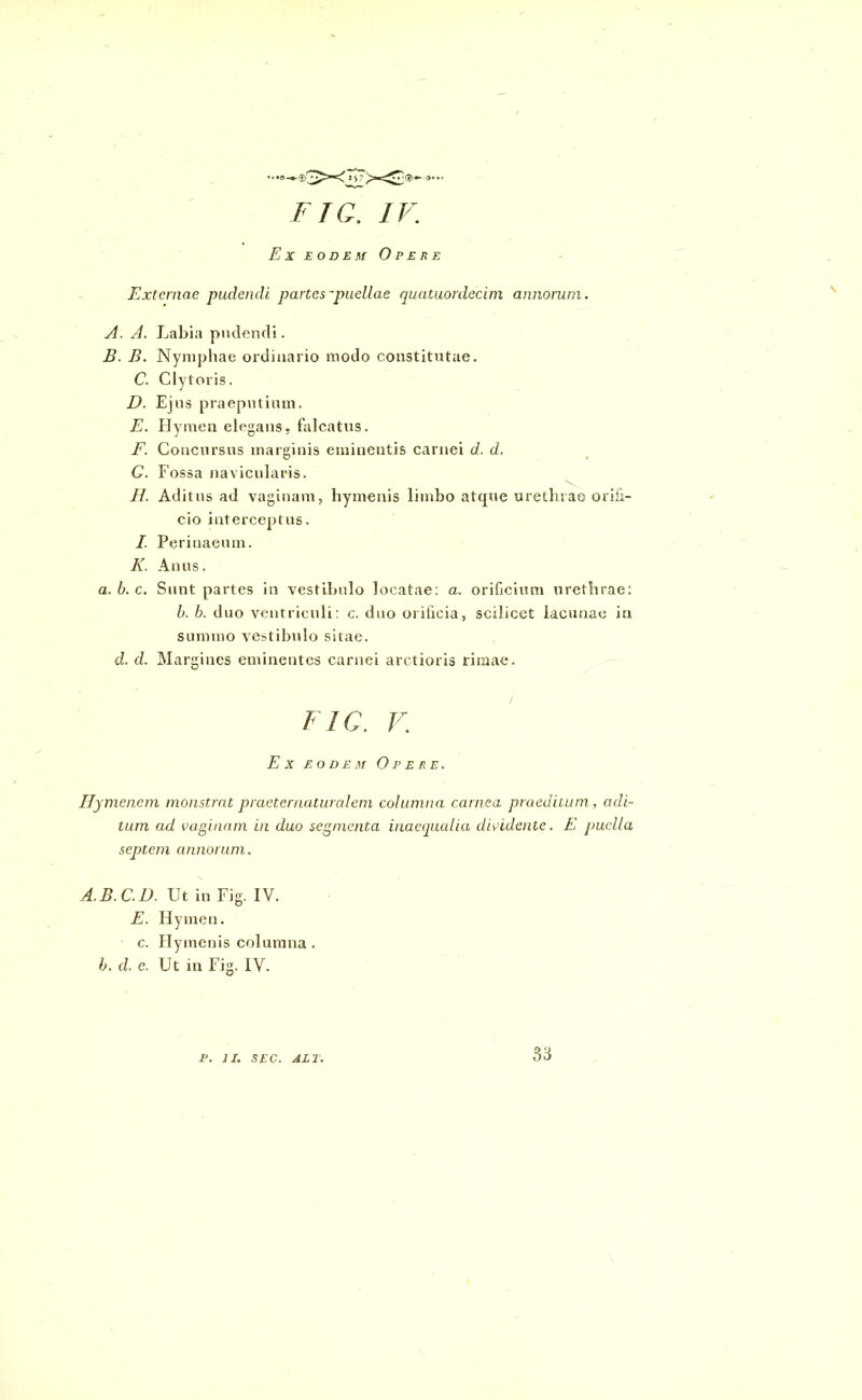 Ex eodem Opere Externae pudendi partes-puellae quatuordecim annorum. A. A. Labia pudendi. B. B. Nymphae ordinario modo constitutae. C. Clytoris. D. Ejus praeputium. E. Hymen elegans, falcatus. F. Concursus marginis eminentis carnei d. d. G. Fossa navicularis. H. Aditus ad vaginam, hymenis limbo atque urethrae orifi- cio interceptus. I. Perinaeum. K. Anus. a. b. c. Sunt partes in vestibulo locatae: a. orificium urethrae: b. b. duo ventriculi: c. duo orificia, scilicet lacunae in summo vestibulo sitae. d. d. Margines eminentes carnei arctioris rimae. FIG. V. Ex eodem Opere. Hymenem monstrat praeter naturalem columna carnea praeditum, adi- tum ad vaginam in duo segmenta inaequalia dividente. E puella septem annorum. A.B.C.D. Ut in Fig. IV. E. Hymen, c. Hymenis columna . h. d. e. Ut in Fig. IV. P. II. SEC. ALT. 33