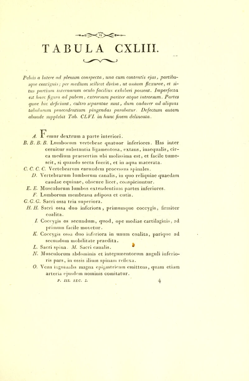 Pelvis a latere ad plenum conspecta, una cum contentis ejus, partibu- sque contiguis; per medium scilicet divisa., ut ossium flexurae, et si- tus partium internarum oculo facilius exhiberi possent. Imperfecta est haec figura ad pubem , extrorsum pariter atque introrsum. Partes quae hic deficiunt, cultro separatae sunt, dum cadaver aci aliquas tabularum praecedentium pingendas parabatur. Defectum autem abunde supplebit Tab. CLVL in hunc finem delmeata. A. .Femur dextrum a parte interiori. B. B.B.B. Lumborum vertebrae quatuor inferiores. Has inter cernitur substantia ligamentosa, extans, inaequalis, cir- ca medium praesertim ubi molissima est, et facile tume- scit, si quando secta fuerit, et in aqua macerata. C. C. C. C. Vertebrarum earundem processus spinales. D. Vertebrarum lumborum canalis, in quo reliquiae quaedam caudae equinae, obscure licet, conspiciuntur. E. E. Musculorum lumbos extendentium partes inferiores. F. Lumborum membrana adiposa et cutis. G.G.G. Sacri ossa tria superiora. H. H. Sacri ossa duo inferiora, primumque coccygis, firmiter coalita. I. Coccygis os secundum, quod, ope mediae cartilaginis, ad primum facile movetur. K. Coccygis ossa duo inferiora in unum coalita, parique ad secundum mobilitate praedita. L. Sacri spina. M. Sacri canalis. N. Musculorum abdominis et integumentorum anguli inferio- ris pars, in ossis ilium spinam rellexa. O. Vena inguinalis magna epigastricam emittens, quam etiam arteria ejusdem nominis comitatur.