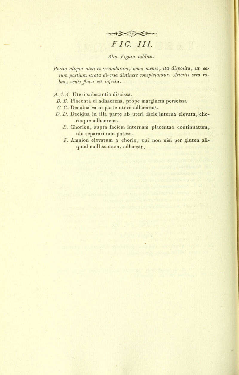 Alia Figura acldita. Portio aliqua uteri et secundarum, nono mense, ita disposita, ut ea- rum partium strata diversa distincte conspiciuntur. Arteriis cera ru- bra, venis flava est injecta. A. A. A. Uteri substantia discissa. B. B. Placenta ei adhaerens, prope marginem perscissa. C. C. Decidua ea in parte utero adhaerens. D. D. Decidua in illa parte ab uteri facie interna elevata, cho- rioque adhaereris. E. Chorion, supra faciem internam placentae continuatum, ubi separari non potest. F. Amnion elevatum a chorio, cui non nisi per gluten ali- quod mollissimum, adhaesit.