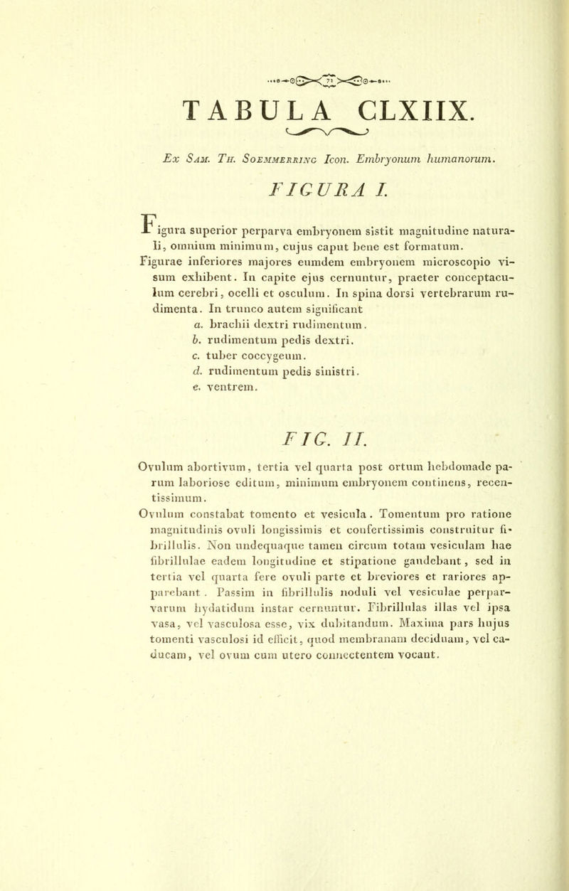 Ex Sam. Til Soemmerring Icon. Embryonum humanorum. FIGURA I. Figura superior perparva embryonem sistit magnitudine natura- li, omnium minimum, cujus caput bene est formatum. Figurae inferiores majores eumdem embryonem microscopio vi- sum exhibent. In capite ejus cernuntur, praeter conceptacu- lum cerebri, ocelli et osculum. In spina dorsi vertebrarum ru- dimenta. In trunco autem significant a. brachii dextri rudimentum. h. rudimentum pedis dextri. c. tuber coccygeum. d. rudimentum pedis sinistri. e. ventrem. FTG. II. Ovulum abortivum, tertia vel quarta post ortum hebdomade pa- rum laboriose editum, minimum embryonem continens, recen- tissimum. Ovulum constabat tomento et vesicula . Tomentum pro ratione magnitudinis ovuli longissimis et confertissimis construitur fi' brillulis. Non undequaque tamen circum totam vesiculam hae fibrillulae eadem longitudine et stipatione gaudebant, sed in tertia vel quarta fere ovuli parte et breviores et rariores ap- parebant . Passim in fibrillulis noduli vel vesiculae perpar- varum hydatidum instar cernuntur. Fibrillulas illas vel ipsa vasa, vel vasculosa esse, vix dubitandum. Maxima pars hujus tomenti vasculosi id efficit, quod membranam deciduam, vel ca- ducam, vel ovum cum utero connectentem vocant.