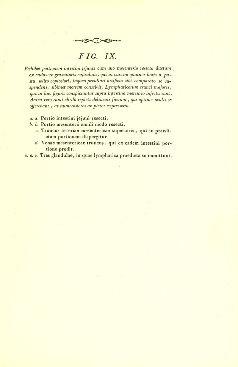 FIC. IX. Exhibet portionem intestini jejunis cum suo mesenterio resecto ductam ex cadavere grassatoris cujusdam, qui in carcere quatuor horis a pa- stu solito copiosiori, laqueo peculiari artificio sibi comparato se su- spendens, sibimet mortem conscivit. Lymphaticorum trunci majores, qui in hac figura conspiciuntur supra intestina mercurio injecta sunt, jdntea vero rami chylo repleti delineati fuerunt, qui optime oculis se offerebant, at numerosiores ac pictor expresserit. a. a. Portio intestini jejuni resecti. b. b. Portio mesenterii simili modo resecti. c. Truncus arteriae mesentericae superioris , qui in praedi- ctam portionem dispergitur. d. Yenae mesentericae truncus , qui ex eadem intestini por- tione prodit. e. e. c. Tres glandulae, in quas lymphatica praedicta se immittunt