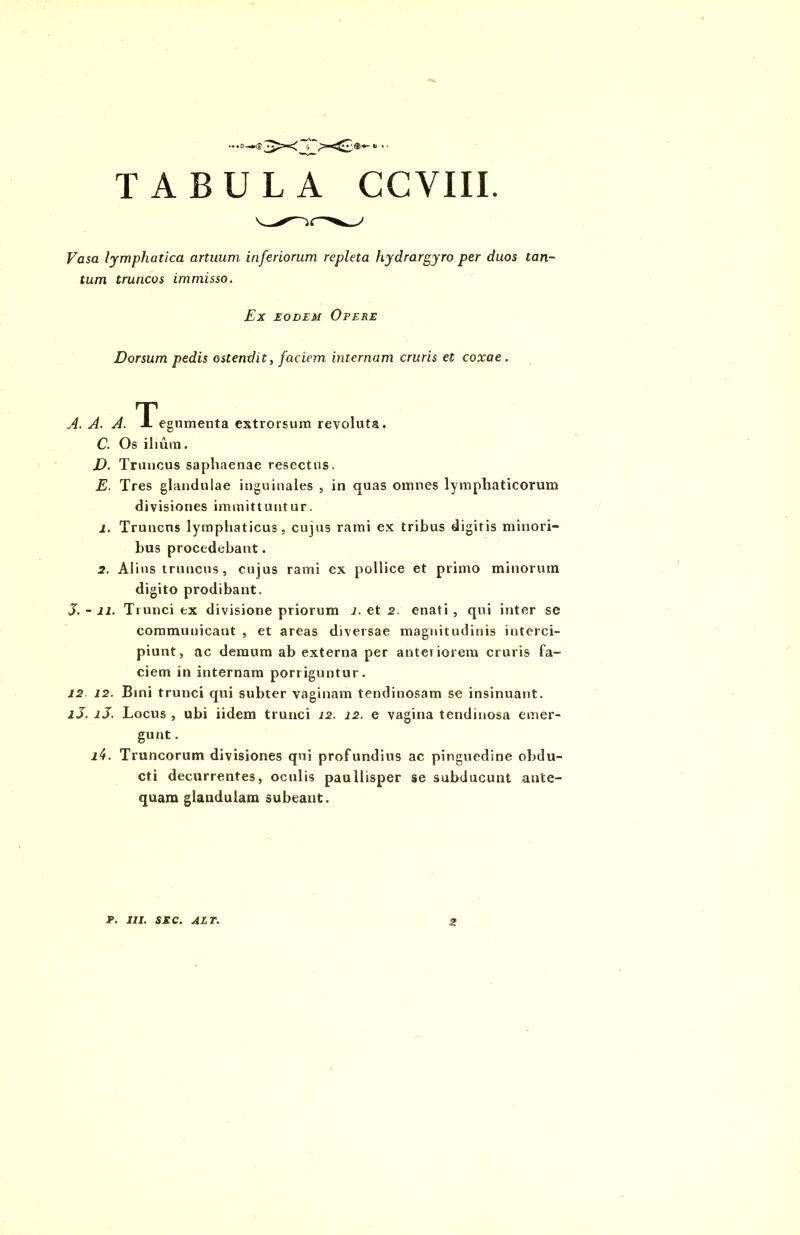 .. .s^,$ 3X *> *• TABULA CCYIII. Ffl^a lymphatica artuum inferiorum repleta hydrargyro per duos tan- tum truncos immisso. Ex eodem Opere Dorsum pedis ostendit, faciemi internam cruris et coxae . A. A. A. TTegumenta extrorsum revoluta. C. Os ilium. D. Truncus saphaenae resectus. E. Tres glandulae inguinales , in quas omnes lymphaticorum divisiones immittuntur. 1. Truncus lymphaticus, cujus rami ex tribus digitis minori- bus procedebant. 2. Alius truncus , cujus rami ex pollice et primo minorum digito prodibant. J. - 11. Trunci ex divisione priorum i. et 2. enati , qui inter se communicant , et areas diversae magnitudinis interci- piunt, ac demum ab externa per anteriorem cruris fa- ciem in internam porriguntur. 12 12. Bini trunci qui subter vaginam tendinosam se insinuant. 13. lJ. Locus , ubi iidem trunci 12. 12. e vagina tendinosa emer- gunt . i4. Truncorum divisiones qui profundius ac pinguedine obdu- cti decurrentes, oculis paullisper se subducunt ante- quam glandulam subeant.