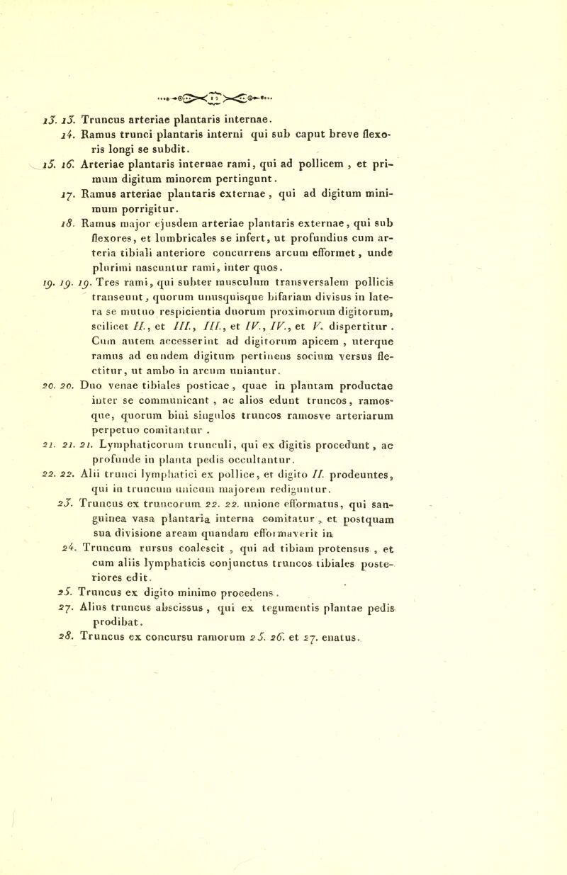 iJ. jX Truncus arteriae plantaris internae. j4. Ramus trunci plantaris interni qui sub caput breve flexo- ris longi se subdit» i5. i5. Arteriae plantaris internae rami, qui ad pollicem , et pri- mum digitum minorem pertingunt. 17. Ramus arteriae plantaris externae , qui ad digitum mini- mum porrigitur. 18. Ramus major ejusdem arteriae plantaris externae, qui sub flexores, et lumbricales se infert, ut profundius cum ar- teria tibiali anteriore concurrens arcum efforinet, unde plurimi nascuntur rami, inter quos. ig. ](). ig. Tres rami, qui subter musculum transversalem pollicis transeunt, quorum unusquisque bifariam divisus in late- ra se mutuo respicientia duorum proximorum digitorum, scilicet //., et III, III., et IV., IV., et V» dispertitur . Cmn autem accesserint ad digitorum apicern , uterque ramus ad eundem digitum pertinens socium versus fle- ctitur, ut ambo in arcum uniantur. 20. 20. Duo venae tibiales posticae , quae in plantam productae inter se communicant , ac alios edunt truncos, ramos- que, quorum bini singulos truncos ramosve arteriarum perpetuo comitantur . 21. 2i. 2i. Lymphaticorum trunculi, qui ex digitis procedunt, ac profunde in planta pedis occultantur. 22. 22. Alii trunci lymphatici ex pollice, et digito II. prodeuntes, qui io truncum unicum majorem rediguntur. 2J. Truncus ex truncorum 22. 22. unione efformatus, qui san- guinea vasa plantaria interna comitatur et postquam sua divisione aream quandam efformaverit in ^4. Truncum rursus coalescit , qui ad tibiam protensus , et cum aliis lymphaticis conjunctus truncos tibiales poste- riores edit. 25. Truncus ex digito minimo procedens. 27. Alius truncus abscissus , qui ex tegumentis plantae pedis prodibat. 28. Truncus ex concursu ramorum 25. 26. et 27. enatus» I