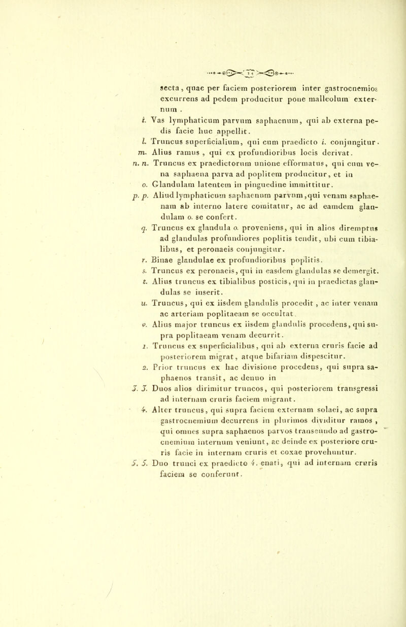 •••« -»-@0^*«c,' 24 secta, quae per faciem posteriorem inter gastrocnemios excurrens ad pedem producitur pone malleolum exter- num . L Yas lymphaticum parvum saphaenum, qui ab externa pe- dis facie huc appellit. I. Truncus superficialium, qui cum praedicto i. conjungitur, m. Alius ramus, qui ex profundioribus locis derivat. n. n. Truncus ex praedictorum unione efformatus, qui cum ve- na saphaena parva ad poplitem producitur, et iu 0. Glandulam latentem in pinguedine immittitur. p. p. Aliud lymphaticum saphaenum parvum,qui venam saphae- nam ab interno latere comitatur, ac ad eamdem glan- dulam o. se confert. q. Truncus ex glandula o. proveniens, qui in alios diremptus ad glandulas profundiores poplitis tendit, ubi cum tibia- libus, et peronaeis conjungitur. r. Binae glandulae ex profundioribus poplitis. s. Truncus ex peronaeis, qui in easdem glandulas se demergit. t. Alius truncus ex tibialibus posticis, qui in praedictas glan- dulas se inserit. u. Truncus, qui ex iisdem glandulis procedit , ac i uter venam ac arteriam poplitaeam se occultat p. Alius major truncus ex iisdem glandulis procedens, qui su- pra poplitaeam venam decurrit. 1. Truncus ex superficialibus, qui ab externa cruris facie ad posteriorem migrat, atque bifariam dispescitur. 2. Prior truncus ex hac divisione procedens, qui supra sa- phaenos transit, ac denuo in J. J. Duos alios dirimitur truncos, qui posteriorem transgressi ad internam cruris faciem migrant. 4. Alter truncus, qui supra faciem externam solaei, ac supra gastrocnemium decurrens in plurimos dividitur ramos , qui omnes supra saphaenos parvos transeundo ad gastro- cnemium internum veniunt, ac deinde ex posteriore cru- ris facie in internam cruris et coxae provehuntur. 5. 5. Duo trunci ex praedicto 4. enati, qui ad internam cruris faciem sc conferunt.