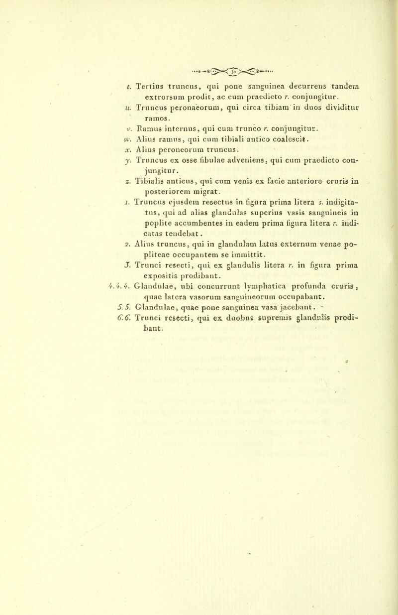 t. Tertius truncus, qui pone sanguinea decurrens tandem extrorsum prodit, ac cum praedicto r. conjungitur. u. Truncus peronaeorum, qui circa tibiam in duos dividitur ramos. v. Ramus internus, qui cum trunco r. conjungitur» w. Alius ramus, qui cum tibiali antico coalescit. x. Alius peroneorum truncus. j. Truncus ex osse fibulae adveniens, qui cum praedicto con- jungitur. z. Tibialis anticus, qui cum venis ex facie anteriore cruris in posteriorem migrat. 1. Truncus ejusdem resectus in figura prima litera s. indigita- tus, qui ad alias glandulas superius vasis sanguineis in poplite accumbentes in eadem prima figura litera r. indi- catas tendebat. 2. Alius truncus, qui in glandulam latus externum venae po- pliteae occupantem se immittit. 3. Trunci resecti, qui ex glandulis litera r. in figura prima expositis prodibant. 4.4.4. Glandulae, ubi concurrunt lymphatica profunda cruris, quae latera vasorum sanguineorum occupabant. 5.5. Glandulae, quae pone sanguinea vasa jacebant. ^ 6.5. Trunci resecti, qui ex duobus supremis glandulis prodi- bant.