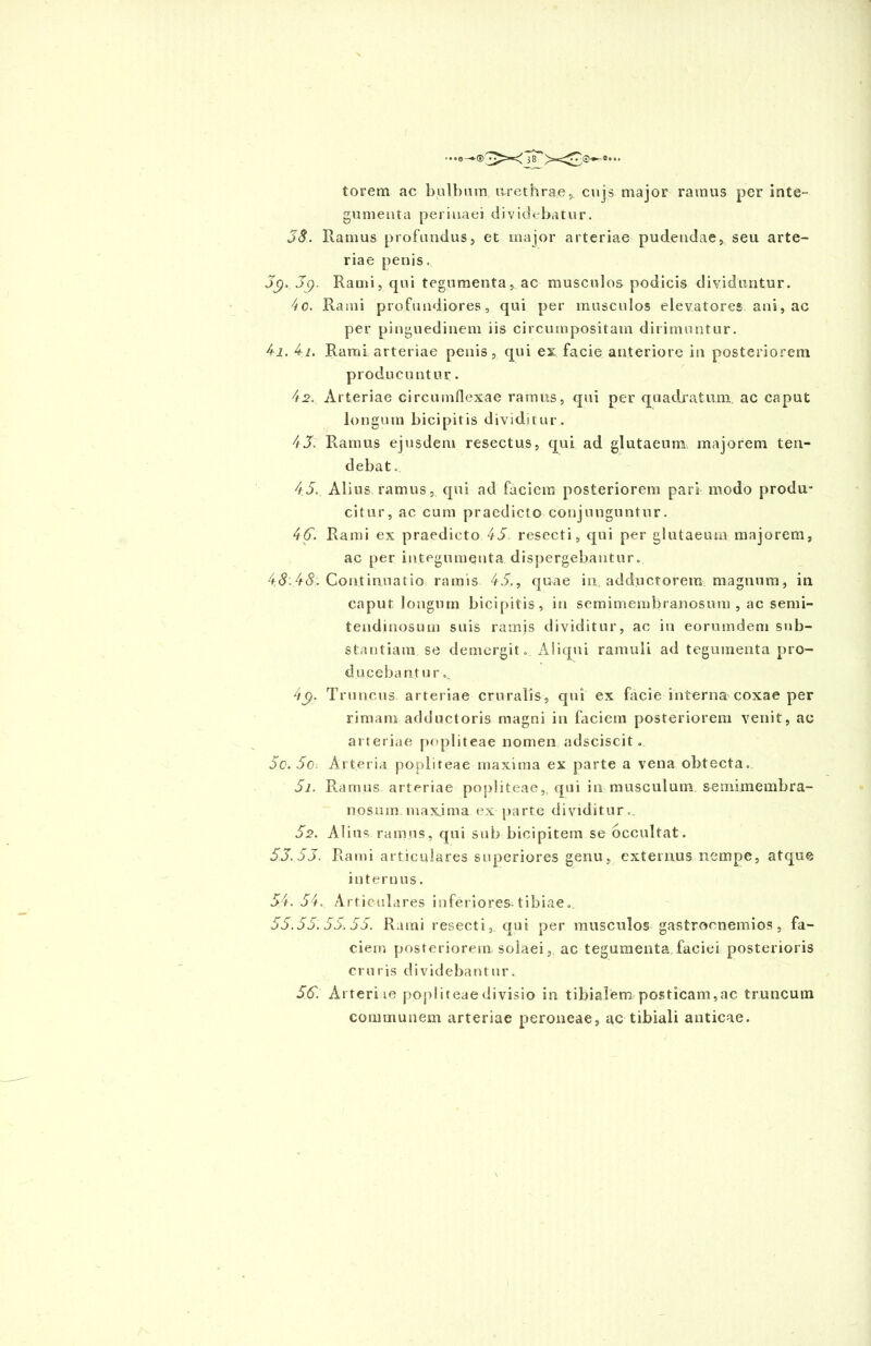 torem ac bulbum urethrae,. cnjs major ramus per inte- gumenta perinaei dividebatur. 58. Ramus profundus, et maior arteriae pudendae, seu arte- riae penis. 5c). Jg. Rami, qui tegumenta, ac musculos podicis dividuntur. 4c. Rami profundiores, qui per musculos elevatores ani, ac per pinguedinem iis circumpositam dirimuntur. 4j. 4i. Rami arteriae penis, qui ex facie anteriore in posteriorem producuntur. 42. Arteriae circumflexae ramus, qui per quadratum ac caput longum bicipitis dividitur. 4J. Ramus ejusdem resectus, qui ad glutaeuni majorem ten- debat.. 45. Alius ramus, qui ad faciem posteriorem pari modo produ- citur, ac cum praedicto conjunguntur. 46. Rami ex praedicto 45 resecti, qui per glutaeuni majorem, ac per integumenta dispergebantur. 48:48. Continuatio ramis 45., quae in adductorem magnum, in caput longum bicipitis, in semimembranosum , ac semi- tendinosum suis ramis dividitur, ac in eorumdem sub- stantiam se demergit. Aliqui ramuli ad tegumenta pro- ducebantur 4j?. Truncus arteriae cruralis, qui ex facie interna coxae per rimam adductoris magni in faciem posteriorem venit, ac arteriae popliteae nomen adsciscit. 5o. 5c. Arteria popliteae maxima ex parte a vena obtecta. 51. Ramus, arteriae popliteae, qui in musculum semimembra- nosum maxima ex parte dividitur.. 52. Alius ramus, qui sub bicipitem se occultat. 55.55. Rami articulares superiores genu, externus nempe, atque internus. 54. 54. Articulares inferiores, tibiae. 55.55.55.55. Ratni resecti, qui per musculos gastrocnemios, fa- ciem posteriorem solaei, ac tegumenta faciei posterioris cruris dividebantur. 56. Arteriie popliteaedivisio in tibialem posticam,ac truncum communem arteriae peroneae, ac tibiali anticae.