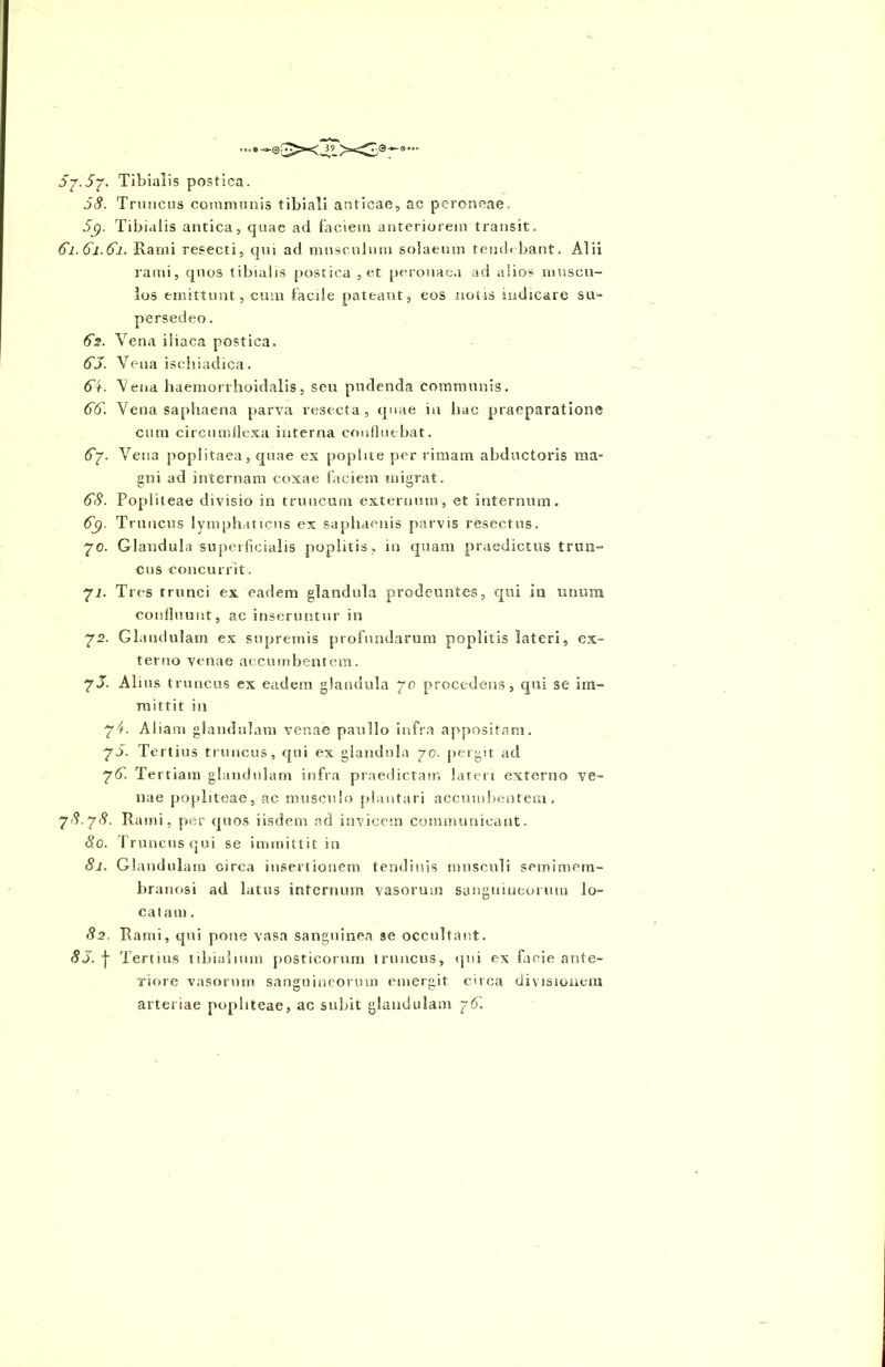 $7.57. Tibialis postica. 5$. Truncus communis tibiali anticae, ac peroneae. 5y. Tibialis antica, quae ad faciem anteriorem transit. 6l.Gl.6i. Rami resecti, qui ad musculum solaeum tendrbant. Alii rami, quos tibialis postica , et peronaea ad alios muscu- los emittunt, cum facile pateant, eos notis indicare su- persedeo . 62. Vena iliaca postica. 65. Vena ischiadica. 6f. Aena haemorrhoidalis, seu pudenda communis. 66'. Vena saphaena parva resecta, quae in hac praeparatione cum circumflexa interna confluebat. 67. Vena poplitaea, quae ex poplite per rimam abductoris ma- gni ad internam coxae faciem migrat. 68. Popliteae divisio in truncum externum, et internum. 6p. Truncus lymphaticus ex saphaenis parvis resectus. 70. Glandula superficialis poplitis, in quam praedictus trun- cus concurrit. 71. Tres trunci ex eadem glandula prodeuntes, qui in unum confluunt, ac inseruntur in 72. Glandulam ex supremis profundarum poplitis lateri, ex- terno venae accumbentem. 75. Alius truncus ex eadem glandula 70 procedens, qui se im- mittit in 7T Aliam glandulam venae paullo infra appositam. 75. Tertius truncus, qui ex glandula 70. pergit ad 76. Tertiam glandulam infra praedictam lateri externo ve- nae popliteae, ac musculo plantari accumbentem. y8.j8. Rami, per quos iisdem ad invicem communicant. 80. Truncus qui se immittit in 81. Glandulam circa insertionem tendinis musculi semimem- branosi ad latus internum vasorum sanguineorum lo- catam . 82. Rami, qui pone vasa sanguinea se occultant. 85.-f Tertius tibialium posticorum truncus, qui ex facie ante- Tiore vasorum sanguineorum emergit circa divisionem arteriae popliteae, ac subit glandulam 76.