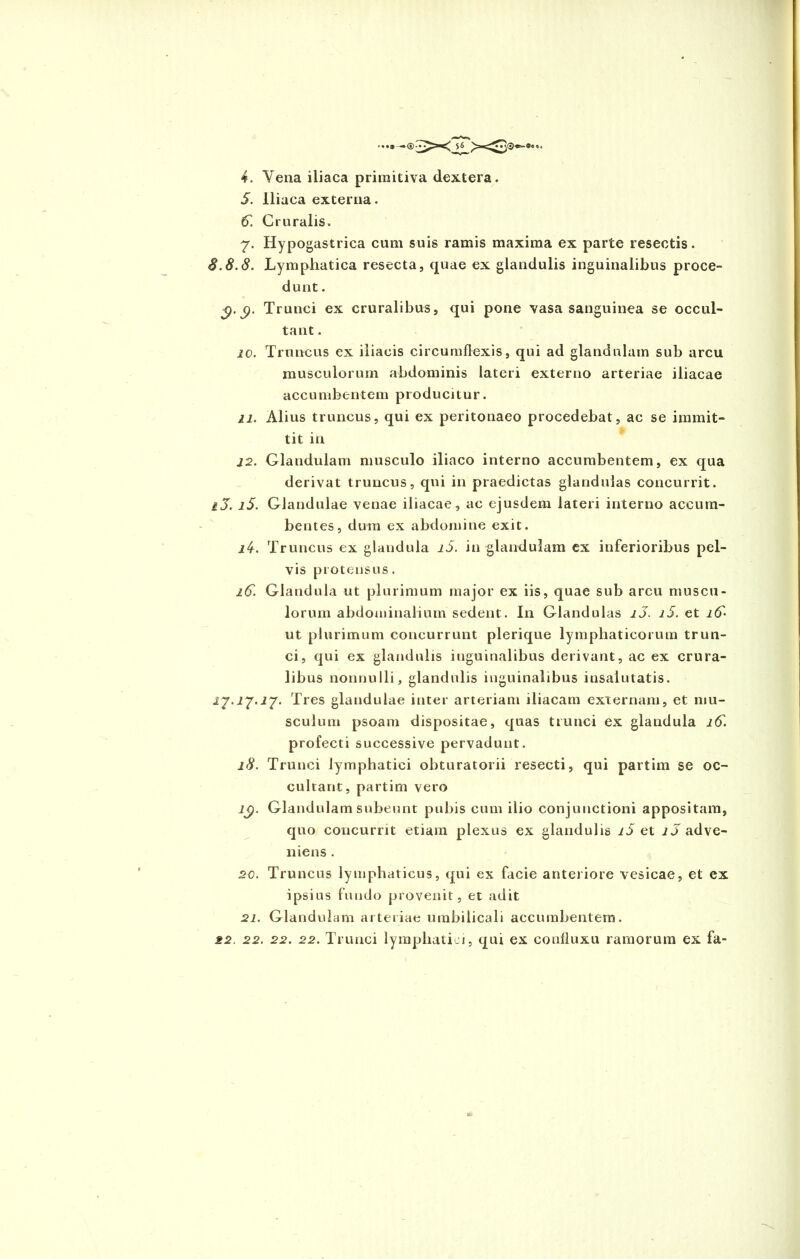 5. Iliaca externa. 6. Cruralis. 7. Hypogastrica cum suis ramis maxima ex parte resectis. 8.8.8. Lymphatica resecta, quae ex glandulis inguinalibus proce- dunt . Trunci ex cruralibus, qui pone vasa sanguinea se occul- tant . 10. Truncus ex iliacis circumflexis, qui ad glandulam sub arcu musculorum abdominis lateri externo arteriae iliacae accumbentem producitur. 21. Alius truncus, qui ex peritonaeo procedebat, ac se immit- . . tit in 22. Glandulam musculo iliaco interno accumbentem, ex qua derivat truncus, qui in praedictas glandulas concurrit. iJ. i5. Glandulae venae iliacae, ac ejusdem lateri interno accum- bentes, dum ex abdomine exit. j4. Truncus ex glandula i5. in glandulam ex inferioribus pel- vis protensus. i6~. Glandula ut plurimum major ex iis, quae sub arcu muscu- lorum abdominalium sedent. In Glandulas 10. i5. et ut plurimum concurrunt plerique lymphaticorum trun- ci, qui ex glandulis inguinalibus derivant, ac ex crura- libus nonnulli, glandulis inguinalibus insalutatis. i7.j7.i7. Tres glandulae inter arteriam iliacam externam, et mu- sculum psoam dispositae, quas trunci ex glandula jA. profecti successive pervadunt. 18. Trunci lymphatici obturatorii resecti, qui partim se oc- cultant, partirn vero lg. Glandulam subeunt pubis cum ilio conjunctioni appositam, quo concurrit etiam plexus ex glandulis i5 et ij adve- niens . 20. Truncus lymphaticus, qui ex facie anteriore vesicae, et ex ipsius fundo provenit, et adit 21. Glandulam arteriae umbilicali accumbentem. 22. 22. 22. 22. Trunci lymphatici, qui ex confluxit ramorum ex fa-