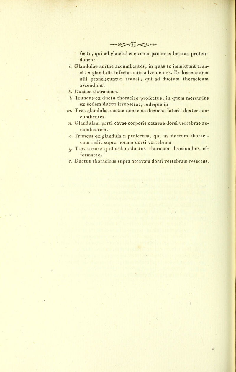 fecti , qui ad glandulas circum pancreas locatas proten- duntur. i. Glandulae aortae accumbentes, in quas se immittunt trun- ci ex glandulis inferius sitis advenientes. Ex hisce autem alii proficiscuntur trunci, qui ad ductum thoracicum ascendunt. k. Ductus thoracicus. l. Truncus ex ductu thoracico profectus, in quem mercurius ex eodem ductu irrepserat, indeque in m. Tres glandulas costae nonae ac decimae lateris dexteri ac- cumbentes. n. Glandulam parti cavae corporis octavae dorsi vertebrae ac- cumbentem . o. Truncus ex glandula n profectus, qui in ductum thoraci- cum redit supra nonam dorsi vertebram . q. Tres areae a quibusdam ductus thoracici divisionibus ef- formatae. r. Ductus thoracicus supra otcavam dorsi vertebram resectus.