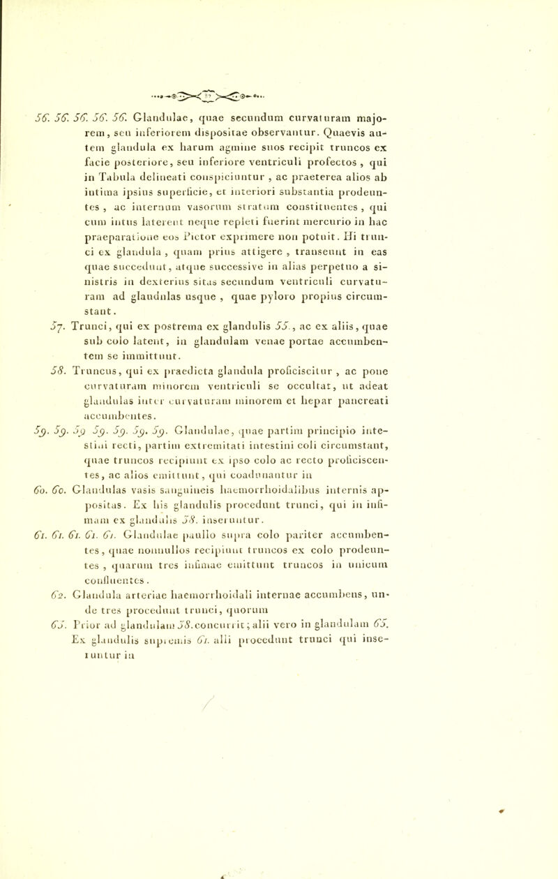 55. 5655. 55. 55. Glandulae, quae secundum curvaturam majo- rem, seu inferiorem dispositae observantur. Quaevis au- tem glandula ex harum agmine suos recipit truncos ex facie posteriore, seu inferiore ventriculi profectos , qui in Tabula delineati conspiciuntur , ac praeterea alios ab intima ipsius superficie, et interiori substantia prodeun- tes , ac internum vasorum stratum constituentes , qui cum intus laterent neque repleti fuerint mercurio in hac praeparatione eoa Pictor exprimere non potuit. Hi trun- ci ex glandula , quam prius attigere , transeunt in eas quae succedunt, atque successive in alias perpetuo a si- nistris in dexterius sitas secundum ventriculi curvatu- ram ad glaudnlas usque , quae pyloro propius circum- stant . 5j. Trunci, qui ex postrema ex glandulis 55., ac ex aliis, quae sub coio latent, in glandulam venae portae accumben- tem se immittunt. 58. Truncus, qui ex praedicta glandula proficiscitur , ac pone curvaturam minorem ventriculi se occultat, ut adeat glandulas inter curvaturam minorem et hepar pancreati accumbentes. 5c). 5i) 5j). 5g. 5y. Glandulae, quae partim principio inte- stini recti, partim extremitati intestini coli circumstant, quae truncos recipiunt ex ipso colo ac recto proficiscen- tes, ac alios emittunt, qui coadunantur in 50. 5c. Glandulas vasis sanguineis haemorrhoidalibus internis ap- positas. Ex his glandulis procedunt trunci, qui in infi- mam ex glandulis 58. inseruntur. 51. 5i. 5i. 5i. 5j. Glandulae puullo supra colo pariter accumben- tes, quae nonnullos recipiunt truncos ex colo prodeun- tes , quarum tres infimae emittunt truncos in unicum confluentes . 5-2. Glandula arteriae liaeniorihoidali internae accumbens, un- de tres procedunt trunci, quorum 55. Prior ad glandulam 58.concurrit; alii vero in glandulam 55. Ex glandulis supiemis 5i. alii procedunt trunci qui inse-