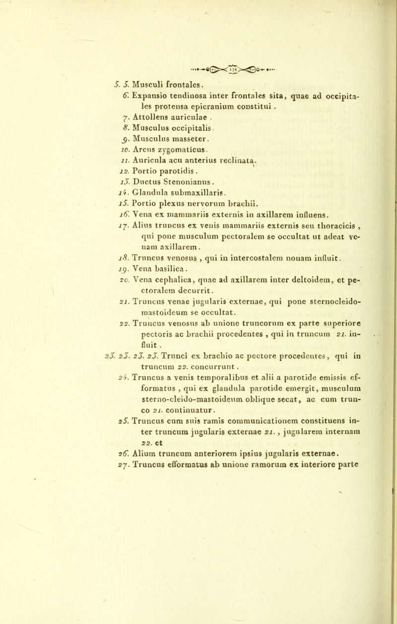 134 •••• 5. 5. Musculi frontales. A. Expansio tendinosa inter frontales sita, quae ad occipita- les protensa epicranium constitui . 7. Attollens auriculae . 8. Musculus occipitalis, j?. Musculus masseter. j0. Arcus zygomaticus. 11. Auricula acu anterius reclinata. 12. Portio parotidis. iJ. Ductus Stenonianus. 14. Glandula submaxillaris. 15. Portio plexus nervorum brachii. jA Vena ex mammariis externis in axillarem influens. J7. Alius truncus ex venis mammariis externis seu thoracicis , qui pone musculum pectoralem se occultat ut adeat ve- nam axillarem. 18. Truncus venosus , qui in intercostalem nonam influit. 79. Vena basilica. 20. Vena cephalica, quae ad axillarem inter deltoidem, et pe- ctoralem decurrit. 21. Truncus venae jugularis externae, qui pone sternocleido- mastoideum se occultat. 22. Truncus venosus ab unione truncorum ex parte superiore pectoris ac brachii procedentes , qui in truncum 21. in- fluit . 2 J. 2 J. 2 J. 2 J. Trunci ex brachio ac pectore procedentes, qui in truncum 22. concurrunt. 2/h Truncus a venis temporalibus et alii a parotide emissis ef- formatus , qui ex glandula parotide emergit, musculum sterno-cleido-mastoideum oblique secat, ac cum trun- co 21. continuatur. 25. Truncus cum suis ramis communicationem constituens in- ter truncum jugularis externae 21. , jugularem internam 22. et 2A. Alium truncum anteriorem ipsius jugularis externae. 27. Truncus efformatus ab unione ramorum ex interiore parte