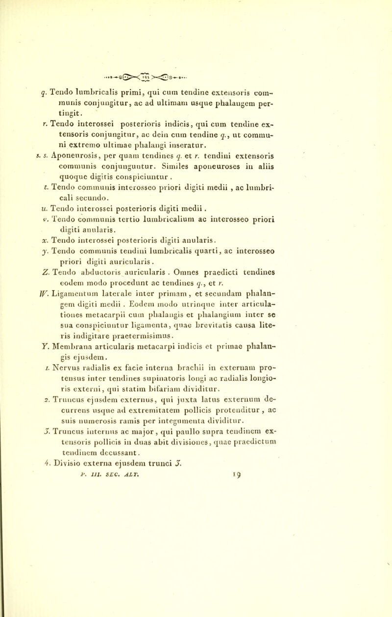 q. Tendo lumbricalis primi, qui cum tendine extensoris com- munis conjungitur, ac ad ultimam usque phalangem per- tingit. r. Tendo interossei posterioris indicis, qui cum tendine ex- tensoris conjungitur, ac dein cum tendine q., ut commu- ni extremo ultimae phalangi inseratur. . s. Aponeurosis, per quam tendines q. et r. tendini extensoris communis conjunguntur. Similes aponeuroses in aliis quoque digitis conspiciuntur . t. Tendo communis interosseo priori digiti medii , ac lumbri- cali secundo. u. Tendo interossei posterioris digiti medii. v. Tendo communis tertio lumbricalium ac interosseo priori digiti anularis. x. Tendo interossei posterioris digiti anularis. y. Tendo communis tendini lumbricalis quarti, ac interosseo priori digiti auricularis. Z. Tendo abductoris auricularis . Omnes praedicti tendines eodem modo procedant ac tendines q., et r. }V- Ligamentum laterale inter primam , et secundam phalan- gem digiti medii . Eodem modo utrinque inter articula- tiones raetacarpii cum phalangis et phalangium inter se sua conspiciuntur ligamenta, quae brevitatis causa lite- ris indigitare praetermisimus. Y. Membrana articularis metacarpi indicis et primae phalan- gis ejusdem. j. Nervus radialis ex facie interna brachii in externam pro- tensus inter tendines supinatoris longi ac radialis longio- ris externi, qui statim bifariam dividitur. 2. Truncus ejusdem externus, qui juxta latus externum de- currens usque ad extremitatem pollicis protenditur , ac suis numerosis ramis per integumenta dividitur. X. Truncus internus ac major, qui paullo supra tendinem ex- tensoris pollicis in duas abit divisiones, quae praedictura tendinem decussant. 4. Divisio externa ejusdem trunci X. T. III. SEC. ALT. 19