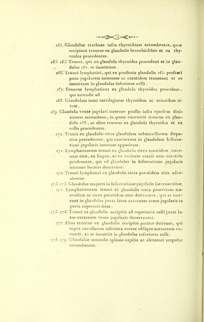 i6L Glandulae tracheae infra thyroideam accumbentes, quae recipiunt truncos ex glandulis bronchialibus et ex thy- roidea procedentes. iS5. 16'S. Trunci, qui ex glandula thyroidea procedunt et in glan- dulas H£4-. se immittunt . 166. Trunci lymphatici, qui ex predictis glandulis 16A. profeeti pone jugularem internam ac carotidem transeunt ut se immittant in glandulas inferiores colli. 167. Truncus lymphaticus ex glandula thyroidea procedens , qui ascendit ad 16'S. Glandulam inter cartilaginem thyroidem ac cricoidem si- tam . 16$. Glandula venae jugulari internae paullo infra ejusdem divi- sionem accumbens, in quam concurrit truncus ex glan- dula 16'S., ac alius truncus ex glandula thyroidea et ex collo procedentes. 270. Trunci ex glandulis circa glandulam suhmaxillarem dispo- sitis procedentes, qui concurrunt in glandulam bifurca- tioni jugularis internae appositam. 277. Lymphaticorum trunci ex glandulis circa carotidem inter- nam sitis, ex lingua, ae ex cavitate cranii cum carotide prodeuntes, qui ad glandulas in bifurcatione jugularis internae locatas decurrunt. 272. Trunci lymphatici ex glandulis circa parotidem sitis adve- nientes* 17 j. 17S. Glandulae majores in bifurcatione jugularis internaesitae. 27/. Lymphaticorum trunci ex glandulis circa processum ma- stoidem ac circa parotidem sitis derivantes , qui se inse- runt in glandulas juxta latus externum venae jugularis in parte superiori sitas . 17S: 176. Trunci ex glandulis occipitis ad superiores colli juxta la- tus externum venae jugularis decurrentes. 277. Alius truncus ex glandulis occipitis pariter derivans, qui supra cucullarem inferiora versus oblique antrorsum ex- currit, ac se immittit in glandulas inferiores colli. 178- 179- Glandulae musculis splenio capitis ac elevatori scapulae accumbentes.