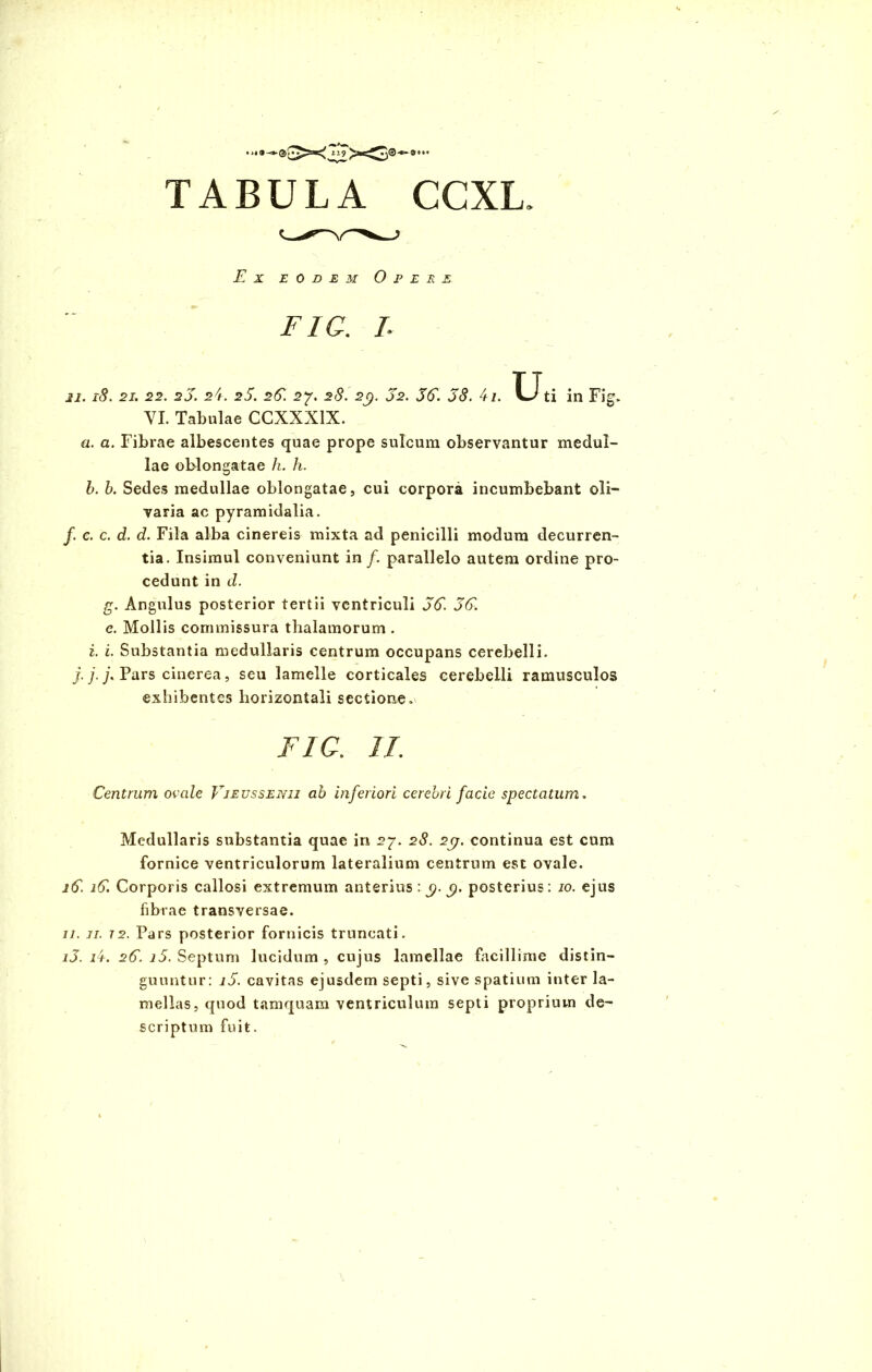 E X EODEM 0 P E R FIC. L ii. iS. 2i. 22. 2j. 24. 25. 25. 27. 2<S. 2(). o2. 35. 38. 4i. XJti in Fig. VI. Tabulae CCXXX1X. a. a. Fibrae albescentes quae prope sulcum observantur medul- lae oblongatae h. h. b. b. Sedes medullae oblongatae, cui corpora incumbebant oli- varia ac pyramidalia. f. c. c. d. d. Fila alba cinereis mixta ad penicilli modum decurren- tia. Insimul conveniunt in f. parallelo autem ordine pro- cedunt in d. g. Angulus posterior tertii ventriculi 35. 35. e. Mollis commissura thalamorum . i. i. Substantia medullaris centrum occupans cerebelli. j. j. j. Pars cinerea, seu lamelle corticales cerebelli ramusculos exhibentes horizontali sectione. FIC. II. Centrum ovale Vieussenii ab inferiori cerebri facie spectatum. Medullaris substantia quae in 27. 28. 2j7. continua est cum fornice ventriculorum lateralium centrum est ovale. i5. i5. Corporis callosi extremum anterius : g. g. posterius: 10. ejus fibrae transversae. 11. 11. 12. Pars posterior fornicis truncati. i3. i4. 25. i5. Septum lucidum , cujus lamellae facillime distin- guuntur: i5. cavitas ejusdem septi, sive spatium inter la- mellas, quod tamquam ventriculum septi proprium de- scriptum fuit.