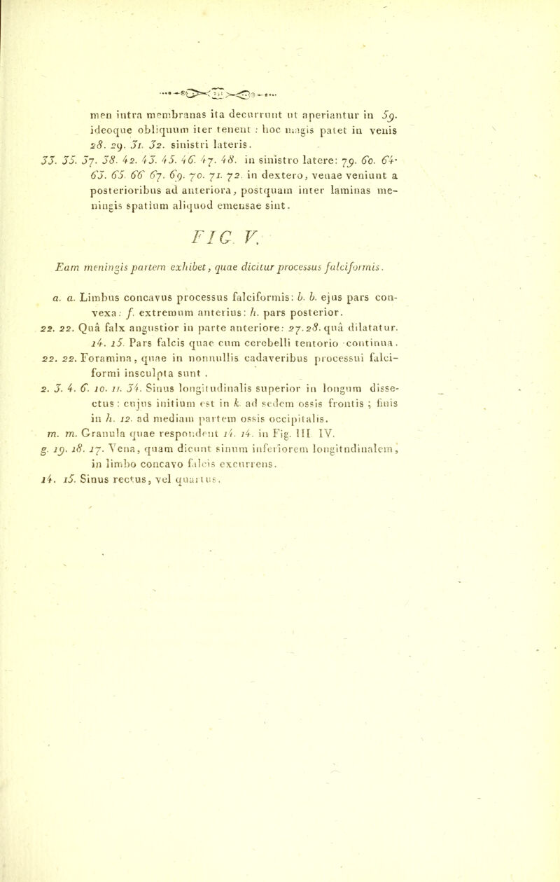 ...9 1)1 —*••• men intra membranas ita decurrunt ut «aperiantur in 5p. ideoque obliquum iter tenent : hoc magis patet in venis 28. 2(). 3l 32. sinistri lateris. 33. 33. 37. 38. 42. 43. 43. 4(3. 4y. 48. in sinistro latere: 7^. 60. 34' 63. (33. 63 67. 69. 70. 71. 72 in dextera, venae veniunt a posterioribus ad anteriora, postquam inter laminas me- ningis spatium aliquod emensae sint. fiq v; Eam meningis partem exhibet, quae dicitur processus falciformis. a. a. Limbus concavus processus falciformis: b. b. ejus pars con- vexa: f. extremum anterius: h. pars posterior. 22. 22. Qua falx angustior in parte anteriore; 27.28. qua dilatatur. i4. i5 Pars falcis quae cum cerebelli tentorio -continua. 22. 22. Foramina , quae in nonnullis cadaveribus processui falci- formi insculpta sunt . 2. 3. 4. 3. 10. 11. 34. Sinus longitudinalis superior in longum disse- ctus : cujus initium est in k ad sedem ossis frontis ; linis in h. 12. ad mediam partem ossis occipitalis. m. m. Granula quae respondent ii. i4. in Fig. III IV. g. lp. 18. 17. Yena, quam dicunt sinum inferiorem longitudinalem, in limbo concavo falcis excurrens. i4. i3. Sinus rectus, vel quartus.