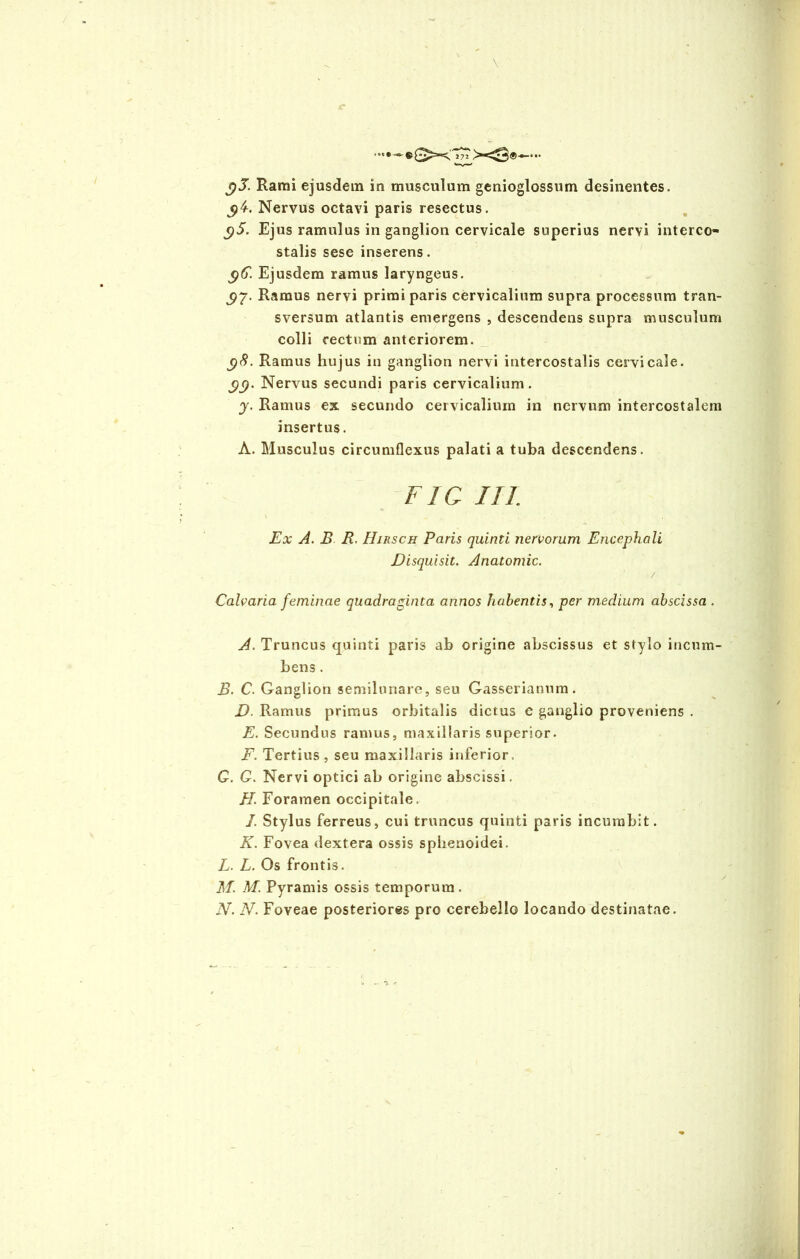 \ *•••—- x3®—•• Rami ejusdem in musculum genioglossum desinentes. Nervus octavi paris resectus. $5. Ejus ramulus in ganglion cervicale superius nervi interco- stalis sese inserens. $6. Ejusdem ramus laryngeus. Ramus nervi primiparis cervicalium supra processum tran- sversum atlantis emergens , descendens supra musculum colli rectum anteriorem. $8. Ramus hujus in ganglion nervi intercostalis cervicale. $(). Nervus secundi paris cervicalium. y. Ramus ex secundo cervicalium in nervum intercostalem insertus. A. Musculus circumflexus palati a tuba descendens. FIG III. \ , . . Ex A. B R. Hirsch Paris quinti nervorum Encephali Disquisit. Anatomic. ' / Calvaria feminae quadraginta annos habentis, per medium abscissa . A. Truncus quinti paris ab origine abscissus et stylo incum- bens . B. C. Ganglion semilunare, seu Gasserianum. D. Ramus primus orbitalis dictus e ganglio proveniens . E. Secundus ramus, maxillaris superior. F. Tertius, seu maxillaris inferior. G. G. Nervi optici ab origine abscissi. //. Foramen occipitale. /. Stylus ferreus, cui truncus quinti paris incumbit. K. Fovea dextera ossis sphenoidei. L. L. Os frontis. M. M. Pyramis ossis temporum. N. N. Foveae posteriores pro cerebello locando destinatae. - y <