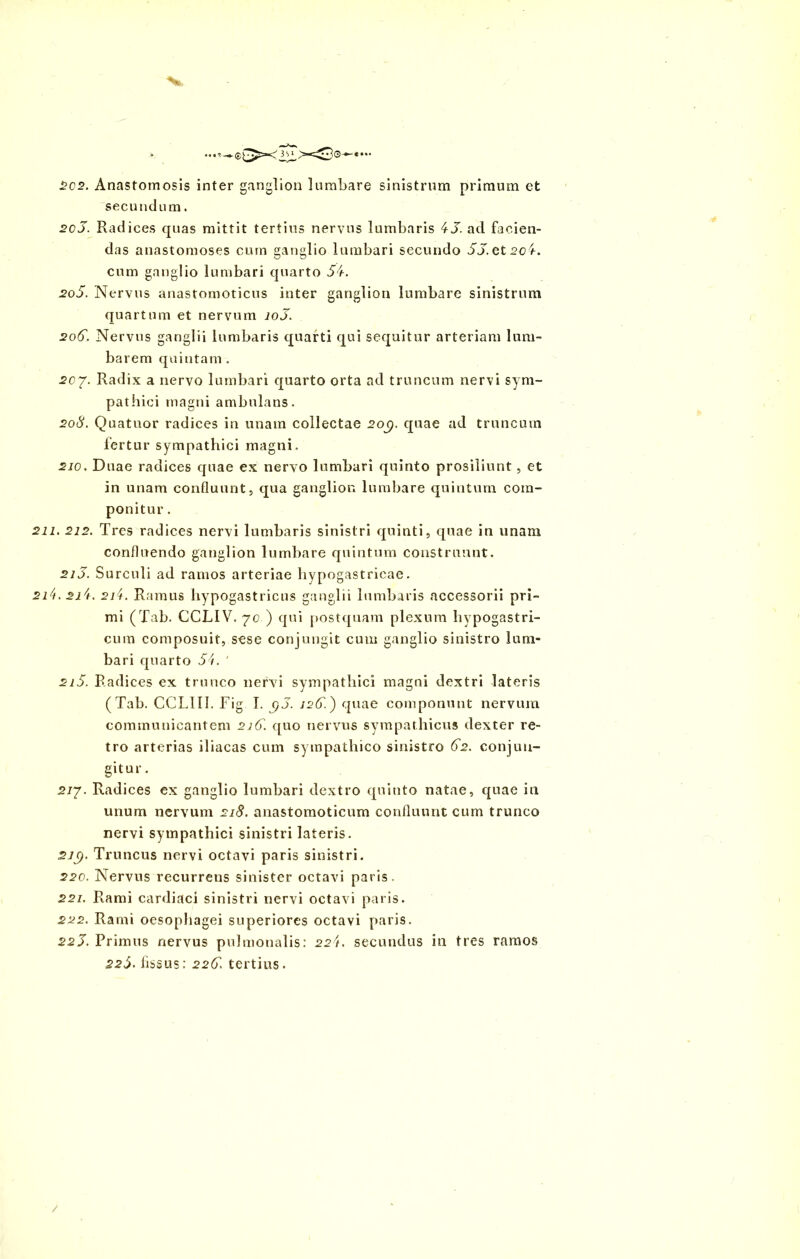 * ...e ==^3©— 202. Anastomosis inter ganglion lumbare sinistrum primum et secundum. 205. Radices quas mittit tertius nervus lumbaris 45. ad facien- das anastomoses cum ganglio lumbari secundo 55.Qt2o/i-. cum ganglio lumbari quarto 54. 205. Nervus anastomoticus inter ganglion lumbare sinistrum quartum et nervum 10J. 206. Nervus ganglii lumbaris quarti qui sequitur arteriam lum- bar em quintam . 207. Radix a nervo lumbari quarto orta ad truncum nervi sym- pathici magni ambulans. 208. Quatuor radices in unam collectae 200). quae ad truncum fertur sympathici magni. 210. Duae radices quae ex nervo lumbari quinto prosiliunt, et in unam confluunt, qua ganglion lumbare quintum com- ponitur . 211. 212. Tres radices nervi lumbaris sinistri quinti, quae in unam confluendo ganglion lumbare quintum construunt. 215. Surculi ad ramos arteriae hypogastricae. 2/4.2/4. 2/4. Ramus hypogastricus ganglii lumbaris accessorii pri- mi (Tab. CCLIV. 70 ) qui postquam plexum hypogastri- cum composuit, sese conjungit cum ganglio sinistro lum- bari quarto 54. ' 2/5. Radices ex trunco nervi sympathici magni dextri lateris (Tab. CCLIII. Fig I. $5. 126.) quae componunt nervum communicantem 2/5. quo nervus sympathicus dexter re- tro arterias iliacas cum sympathico sinistro 62. conjun- gitur. 2/7. Radices ex ganglio lumbari dextro quinto natae, quae in unum nervum 218. anastomoticum confluunt cum trunco nervi sympathici sinistri lateris. 210). Truncus nervi octavi paris sinistri. 220. Nervus recurrens sinister octavi paris. 22/. Rami cardiaci sinistri nervi octavi paris. 222. Rami oesophagei superiores octavi paris. 22J. Primus nervus pulmonalis: 224. secundus in tres ramos 225. fissus: 22G. tertius.