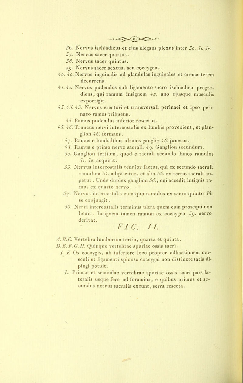 36. Nervus ischiadicus et ejus elegans plexus inter 3o. 3i. 32. 3y. Nervus sacer quartus. 38. Nervus sacer quintus. J9. Nervus sacer sextus, seu coccygeus. 40. 4o. Nervus inguinalis ad glandulas inguinales et creraasterem decurrens. 41. 4/. Nervus pudendus sub ligamento sacro ischiadico progre- diens , qui ramum insignem 42. ano ejusque musculis exporrigit. 43. 43. 43. Nervus erectori et transversali perinaei et ipso peri- naeo ramos tribuens. 44. Ramus pudendus inferior resectus. 45. 46. Truncus nervi intercostalis ex lumbis proveniens, et glan- glion 46. formans. 47. Ramus e lumbalibus ultimis ganglio 46. junctus. 48. Ramus e primo nervo sacrali. Ganglion secundum. 5o. Ganglion tertium, quod e sacrali secundo binos ramulos 5i. 52. acquirit. 53. Nervus intercostalis tenuior factus, qui ex secundo sacrali ramulum 54. adipiscitur, et alio 55. ex tertio sacrali au- getur . Unde duplex ganglion 56., cui accedit insignis ra- mus ex quarto nervo. 57. Nervus intercostalis cum quo ramulus ex sacro quinto 38. se conjungit. 58. Nervi intercostalis terminus ultra quem eum prosequi non licuit. Insignem tamen ramum ex coccygeo J9. nervo derivat. Fic. II. A.B.C. Vertebra lumborum tertia, quarta et quinta. D. E. F. Q. II. Quirique vertebrae spuriae ossis sacri. I. K. Os coccygis, ab inferiore loco propter adhaesionem mu- sculi et ligamenti spinoso coccygei non distincte satis di- pingi potuit. L. Primae et secundae vertebrae spuriae ossis sacri pars la- teralis usque fere ad foramina, e quibus primus et se- cundus nervus sacralis exeunt, serra resecta.