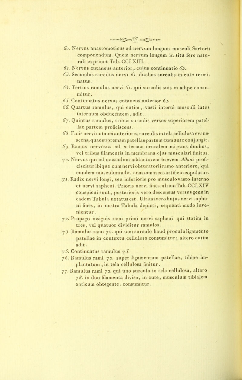 60. Nervus anastomoticus ad nervum longum musculi Sartorii componendum. Quem nervum longum in situ fere natu- rali exprimit Tab. CCLNIII. 61. Nervus cutaneus anterior, cujus continuatio 62. 63. Secundus ramulus nervi 61. duobus surculis in cute termi- natus . 6;t. Tertius ramulus nervi 61. qui surculis suis in adipe consu- mitur. 65. Continuatus nervus cutaneus anterior 61. 66. Quartus ramulus, qui cutim, vasti interni musculi latus internum obducentem, adit. 6y. Quintus ramulus, tribus surculis versus superiorem patel- lae partem proficiscens. 68. Finis nervi cutanei anterioris, surculis in tela cellulosa evane- scens, quae supremam patellae partem cum ante conjungit. 6y. Ramus nervosus ad arteriam cruralem migrans duobus, vel tribus filamentis in membrana ejus musculari finitus. 70. Nervus qui ad musculum adductorem brevem Albini profi- ciscitur ibique cum nervi obturatorii ramo anteriore, qui eundem musculum adit, anasromoseos artificio copulatur. 71. Radix nervi longi, seu inferioris pro musculo vasto interno et nervi sapheni. Prioris nervi fines ultiniiTab.CCLXIV conspicui sunt; posterioris vero descensus versus genu in eadem Tabula notatus est. Ultimi vero hujus nervi saphe- ni fines, in nostra Tabula depicti, sequenti modo inve- nientur . 72. Propago insignis rami primi nervi sapheni qui statim in tres, vel quatuor dividitur ramulos. 75. Ramulus rami 72. qui uno surculo haud procul a ligamento patellae in contextu celluloso consumitur; altero cutim adit. 75. Continuatus ramulus 75. 76. Ramulus rami 72. super ligamentum patellae, tibiae im- plantatum , in tela cellulosa finitur. 77. Ramulus rami 72. qui uno surculo in tela cellulosa, altero 78. in duo filamenta diviso, in cute, musculum tibialem anticum obtegente, consumitur.