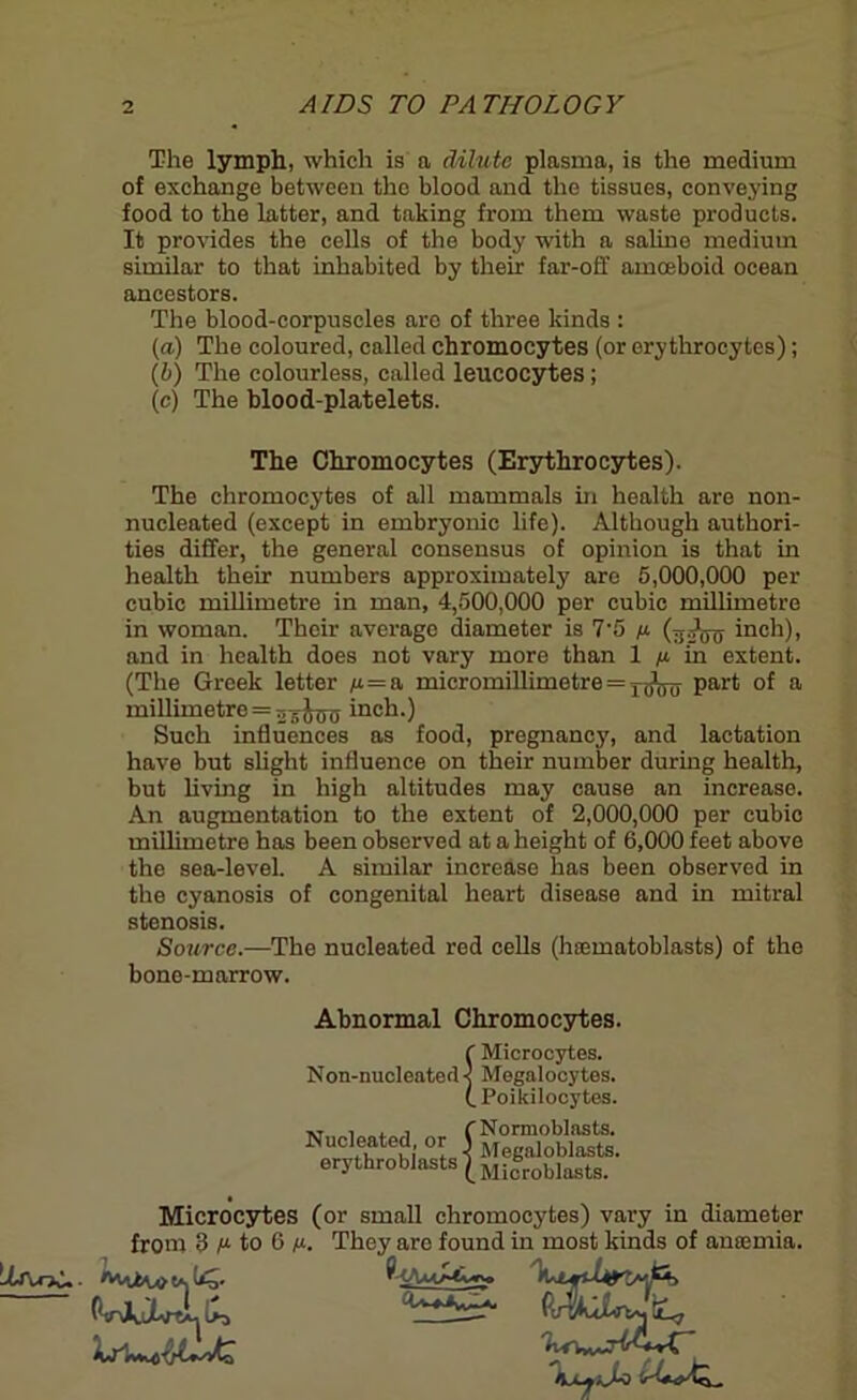 The lymph, which is a dilute plasma, is the medium of exchange between the blood and the tissues, conveying food to the latter, and taking from them waste products. It provides the cells of the body with a saline medium similar to that inhabited by their far-off amoeboid ocean ancestors. The blood-corpuscles are of three kinds : (a) The coloured, called chromocytes (or erythrocytes); (b) The colourless, called leucocytes; (c) The blood-platelets. The Chromocytes (Erythrocytes). The chromocytes of all mammals in health are non- nucleated (except in embryonic life). Although authori- ties differ, the general consensus of opinion is that in health their numbers approximately arc 5,000,000 per cubic millimetre in man, 4,500,000 per cubic millimetre in woman. Their average diameter is 7-5 (gi^y inch), and in health does not vary more than 1 n in extent. (The Greek letter n=& micromillimetre = part of a millimetre = inch.) Such influences as food, pregnancy, and lactation have but slight influence on their number during health, but living in high altitudes may cause an increase. An augmentation to the extent of 2,000,000 per cubic millimetre has been observed at a height of 6,000 feet above the sea-level. A similar increase has been observed in the cyanosis of congenital heart disease and in mitral stenosis. Source.—The nucleated red cells (haematoblasts) of the bone-marrow. Abnormal Chromocytes. Non-nucleated Nucleated, or erythroblasts 1 I Microcytes. Megalocytes. Poikilocytes. Normoblasts. Megaloblasts. Microblasts. Microcytes (or small chromocytes) vary in diameter from 3 n to 6 n. They are found in most kinds of anaemia.