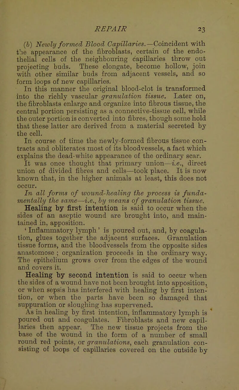 (b) Newly formed Blood Capillaries.— Coincident with the appearance of the fibroblasts, certain of the endo- thelial cells of the neighbouring capillaries throw out projecting buds. These elongate, become hollow, join with other similar buds from adjacent vessels, and so form loops of new capillaries. In this manner the original blood-clot is transformed into the richly vascular granulation tissue. Later on, the fibroblasts enlarge and organize into fibrous tissue, the central portion persisting as a connective-tissue cell, while the outer portion is converted into fibres, though some hold that these latter are derived from a material secreted by the cell. In course of time the newly-formed fibrous tissue con- tracts and obliterates most of its bloodvessels, a fact which explains the dead-white appearance of the ordinary scar. It was once thought that primary union—i.e., direct union of divided fibres and cells—took place. It is now known that, in the higher animals at least, this does not occur. In all forms of wound-liealing the process is funda- mentally the same—i.e., by means of granulation tissue. Healing by first intention is said to occur when the sides of an aseptic wound are brought into, and main- tained in, apposition. ‘ Inflammatory lymph ’ is poured out, and, by coagula- tion, glues together the adjacent surfaces. Granulation tissue forms, and the bloodvessels from the opposite sides anastomose ; organization proceeds in the ordinary way. The epithelium grows over from the edges of the wound and covers it. Healing by second intention is said to occur when the sides of a wound have not been brought into apposition, or when sepsis has interfered with healing by first inten- tion, or when the parts have been so damaged that suppuration or sloughing has supervened. As in healing by first intention, inflammatory lymph is poured out and coagulates. Fibroblasts and new capil- laries then appear. The new tissue projects from the base of the wound in the form of a number of small round red points, or granulations, each granulation con- sisting of loops of capillaries covered on the outside by