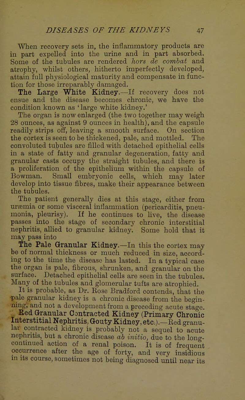 When recovery sets in, the inflammatory products are in part expelled into the mine and in part absorbed. Some of the tubules are rendered hors de combat and atrophy, whilst others, hitherto imperfectly developed, attain full physiological maturity and compensate in func- tion for those irreparably damaged. The Large White Kidney.—If recovery does not ensue and the disease becomes chronic, we have the condition known as ‘large white kidney.’ The organ is now enlarged (the two together may weigh 28 ounces, as against 9 ounces in health), and the capsule readily strips off, leaving a smooth surface. On section the cortex is seen to be thickened, pale, and mottled. The convoluted tubules are filled with detached epithelial cells in a state of fatty and granular degeneration, fatty and granular casts occupy the straight tubules, and there is a proliferation of the epithelium within the capsule of Bowman. Small embryonic cells, which may later develop into tissue fibres, make their appearance between the tubules. The patient generally dies at this stage, either from uraemia or some visceral inflammation (pericarditis, pneu- monia, pleurisy). If he continues to five, the disease passes into the stage of secondary chronic interstitial nephritis, allied to granular kidney. Some hold that it may pass into The Pale Granular Kidney.—In this the cortex may be of normal thickness or much reduced in size, accord- ing to the time the disease has lasted. In a typical case the organ is pale, fibrous, shrunken, and granular on the surface. Detached epithelial cells are seen in the tubules. Many of the tubules and glomerular tufts are atrophied. It is probable, as Dr. Rose Bradford contends, that the •pale granular kidney is a chronic disease from the begin- ning, and not a development from a preceding acute stage. Red Granular Contracted Kidney (Primary Chronic Interstitial Nephritis, Gouty Kidney, etc.).—Red granu- lar contracted kidney is probably not a sequel to acute nephritis, but a chronic disease ab initio, due to the long- continued action of a renal poison. It is of frequent occurrence after the age of forty, and very insidious in its course, sometimes not being diagnosod until near its