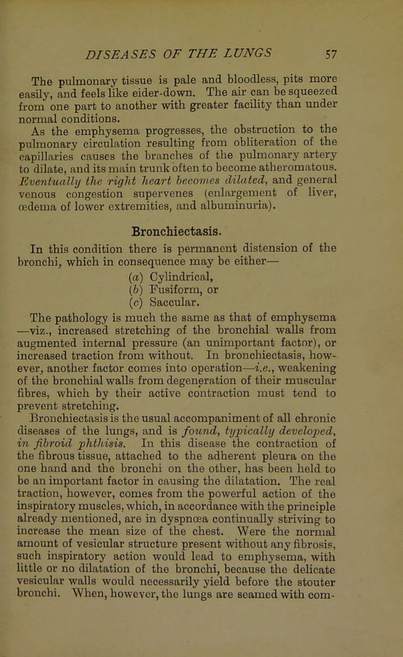 The pulmonary tissue is pale and bloodless, pits more easily, and feels like eider-down. The air can be squeezed from one part to another with greater facility than under normal conditions. As the emphysema progresses, the obstruction to the pulmonary circulation resulting from obliteration of the capillaries causes the branches of the pulmonary artery to dilate, and its main trunk often to become atheromatous. Eventually the right heart becomes dilated, and general venous congestion supervenes (enlargement of liver, oedema of lower extremities, and albuminuria). Bronchiectasis. In this condition there is permanent distension of the bronchi, which in consequence may be either— (a) Cylindrical, (b) Fusiform, or (c) Saccular. The pathology is much the same as that of emphysema —viz., increased stretching of the bronchial walls from augmented internal pressure (an unimportant factor), or increased traction from without. In bronchiectasis, how- ever, another factor comes into operation—i.e., weakening of the bronchial walls from degeneration of their muscular fibres, which by their active contraction must tend to prevent stretching. Bronchiectasis is the usual accompaniment of all chronic diseases of the lungs, and is found, typically developed, in fibroid phthisis. In this disease the contraction of the fibrous tissue, attached to the adherent pleura on the one hand and the bronchi on the other, has been held to be an important factor in causing the dilatation. The real traction, however, comes from the powerful action of the inspiratory muscles, which, in accordance with the principle already mentioned, are in dyspnoea continually striving to increase the mean size of the chest. Were the normal amount of vesicular structure present without any fibrosis, such inspiratory action would lead to emphysema, with little or no dilatation of the bronchi, because tho delicate vesicular walls would necessarily yield before the stouter bronchi. When, however, the lungs are seamed with com-