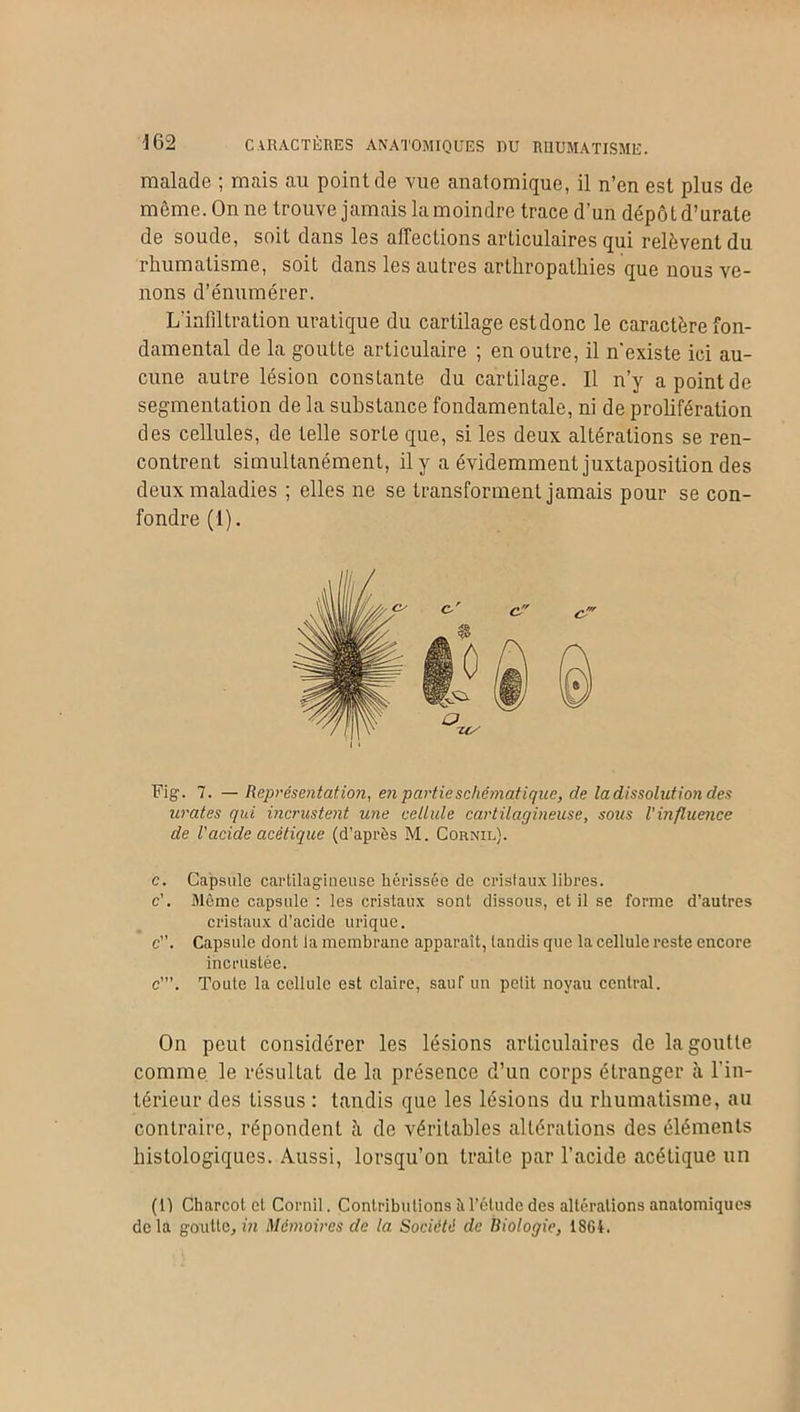 malade ; mais au point de vue anatomique, il n’en est plus de même. On ne trouve jamais la moindre trace d’un dépôt d’urate de soude, soit dans les affections articulaires qui relèvent du rhumatisme, soit dans les autres arthropatliies que nous ve- nons d’énumérer. L’infiltration uratique du cartilage estdonc le caractère fon- damental de la goutte articulaire ; en outre, il n'existe ici au- cune autre lésion constante du cartilage. Il n’y a point de segmentation de la substance fondamentale, ni de prolifération des cellules, de telle sorte que, si les deux altérations se ren- contrent simultanément, il y a évidemment juxtaposition des deux maladies ; elles ne se transforment jamais pour se con- fondre (1). Fig. 7. — Représentation, en partie schématique, de la dissolution des urates qui incrustent une cellule cartilagineuse, sous l'influence de Vacide acétique (d’après M. Cornil). c. Capsule cartilagineuse hérissée de cristaux libres, c’. Môme capsule : les cristaux sont dissous, et il se forme d’autres cristaux d’acide urique. c”. Capsule dont la membrane apparaît, tandis que la cellule reste encore incrustée. c’”. Toute la cellule est claire, sauf un petit noyau central. On peut considérer les lésions articulaires de la goutte comme le résultat de la présence d’un corps étranger à l'in- térieur des tissus : tandis que les lésions du rhumatisme, au contraire, répondent à de véritables altérations des éléments histologiques. Aussi, lorsqu’on traite par l’acide acétique un (il Charcot et Cornil. Contributions b l’étude des altérations anatomiques delà goutte, in Mémoires de la Société de Biologie, 1864.