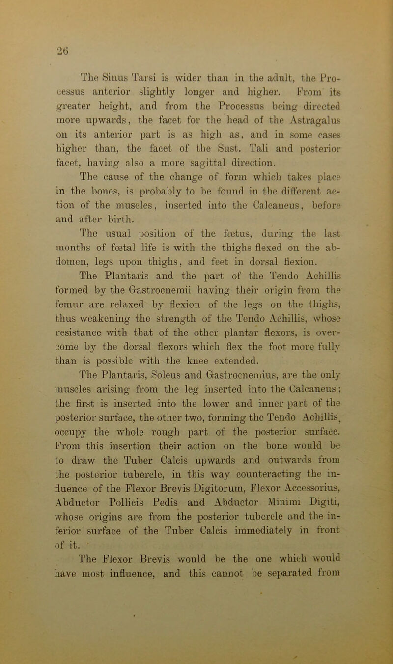 The Sinus Tarsi is wider than in the adult, the Pro- cessus anterior slightly longer and higher. From its greater height, and from the Processus being directed more upwards, the facet for the head of the Astragalus on its anterior part is as high as, and in some cases higher than, the facet of the Sust. Tali and posterior facet, having also a more sagittal direction. The cause of the change of form which takes place in the bones, is probably to be found in the different ac- tion of the muscles, inserted into the Calcaneus, before and after birth. The usual position of the fcetus, during the last months of foetal life is with the thighs flexed on the ab- domen, legs upon thighs, and feet in dorsal flexion. The Plantaris and the part of the Tendo Achillis formed by the Gastrocneraii having their origin from the femur are relaxed by flexion of the legs on the thighs, thus weakening the strength of the Tendo Achillis, whose resistance with that of the other plantar flexors, is over- come by the dorsal flexors which flex the foot more fully than is possible with the knee extended. The Plantaris, Soleus and Gastrocnemius, are the only muscles arising from the leg inserted into the Calcaneus; the first is inserted into the lower and inner part of the posterior surface, the other two, forming the Tendo Achillis, occupy the whole rough part of the posterior surface. From this insertion their action on the bone would be to draw the Tuber Calcis upwards and outwards from the posterior tubercle, in this way counteracting the in- fluence of the Flexor Brevis Digitorum, Flexor Accessorius, Abductor Pollicis Pedis and Abductor Minimi Digiti, whose origins are from the posterior tubercle and the in- ferior surface of the Tuber Calcis immediately in front of it. The Flexor Brevis would be the one which would have most influence, and this cannot be separated from