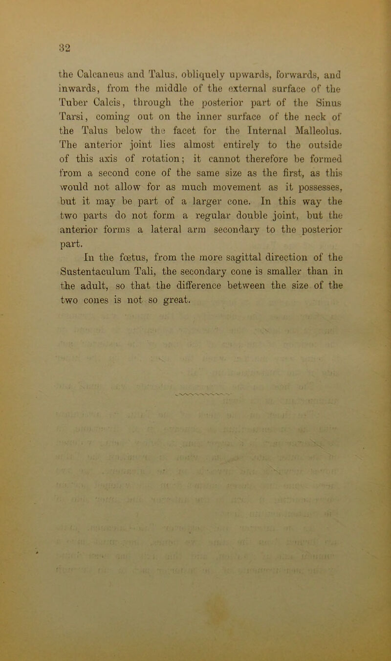 the Calcaneus and Talus, obliquely upwards, Forwards, and inwards, from the middle of the external surface of the Tuber Calcis, through the posterior part of the Sinus Tarsi, coming out on the inner surface of the neck of the Talus below the facet for the Internal Malleolus. The anterior joint lies almost entirely to the outside of this axis of rotation; it cannot therefore be formed from a second cone of the same size as the first, as this would not allow for as much movement as it possesses, but it may be part of a larger cone. In this way the two parts do not form a regular double joint, but the anterior forms a lateral arm secondary to the posterior part. In the foetus, from the more sagittal direction of the Sustentaculum Tali, the secondary cone is smaller than in the adult, so that the difference between the size of the two cones is not so great.