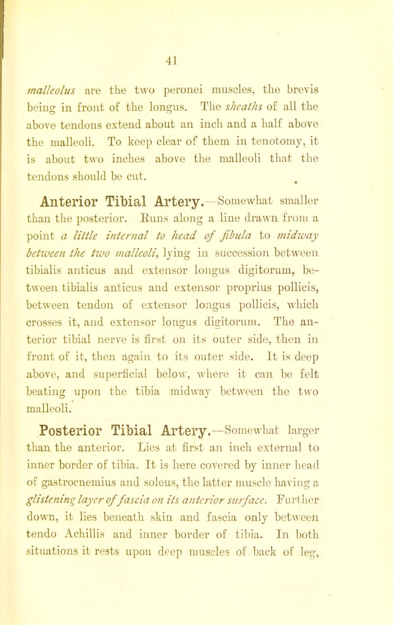 malleolus are the two peronei muscles, the brevis being in front of the longus. The sheaths of all the above tendons extend about an inch and a half above the malleoli. To keep clear of them in tenotomy, it is about two inches above the malleoli that the tendons should be cut. « Anterior Tibial Artery.—Somewhat smaller than the posterior. Euns along a line drawn from a point a little internal to head of fibula to midway between the kao malleoli, lying in succession between tibialis anticus and extensor longus digitorum, be- tween tibialis anticus and extensor proprius pollicis, between tendon of extensor longus pollicis, which crosses it, and extensor longus digitorum. The an- terior tibial nerve is first on its outer side, then in front of it, then again to its outer side. It is deep above, and snperficial belou', where it can be felt beating upon the tibia midway between the two malleoli. Posterior Tibial Artery.—Somewhat larger than the anterior. Lies at first an inch external to inner border of tibia. It is here covered by inner head of gastrocnemius and solens, the latter muscle having a glistening layer of fascia on its anterior surface. Fn r t her down, it lies beneath skin and fascia only between tendo Achillis and inner border of tibia. In both situations it rests upon deep muscles of back of leg.