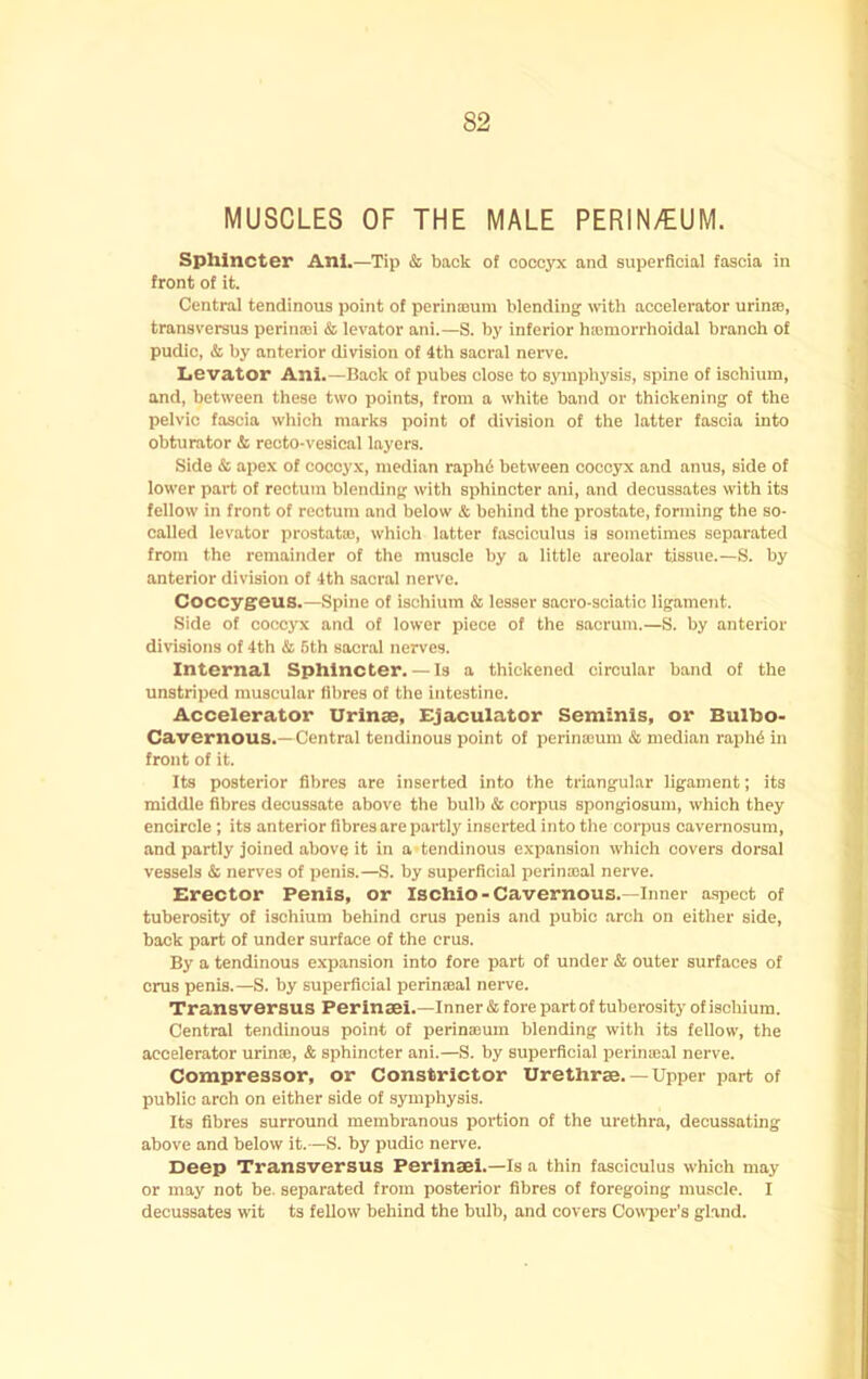 MUSCLES OF THE MALE PERIN/EUM. Sphincter Anl.—Tip & back of coccyx and superficial fascia in front of it. Central tendinous point of perinajum blending wdth accelerator urinae, transversus perinaji & levator ani.—S. by inferior hajmorrhoidal branch of pudic, & by anterior division of 4th sacral nerve. Levator Ani.—Back of pubes close to symphysis, spine of ischium, and, between these two points, from a white band or thickening of the pelvic fascia which marks point of division of the latter fascia into obturator & recto-vesical layers. Side & apex of coooy.x, median raphiS between coccyx and anus, side of lower part of rectum blending with sphincter ani, and decussates with its fellow in front of rectum and below & behind the prostate, forming the so- called levator prostatas, which latter fasciculus is sometimes separated from the remainder of the muscle by a little areolar tissue.—S. by anterior division of 4th sacral nerve. Coccygeus.—Spine of ischium & lesser sacro-sciatic ligament. Side of coccyx and of lower piece of the sacrum.—S. by anterior divisions of 4th & 6th sacral nerves. Internal Sphincter. — Is a thickened circular band of the unstriped muscular fibres of the intestine. Accelerator Urlnae, EJaculator Seminis, or Bulho- Cavernous.—Central tendinous point of perinaium & median raph6 in front of it. Its posterior fibres are inserted into the triangular ligament; its middle fibres decussate above the bulb 4& corpus spongiosum, which they encircle ; its anterior fibres are partly inserted into the corpus oavernosum, and partly joined above it in a tendinous expansion which covers dorsal vessels & nerves of penis.—S. by superficial perinasal nerve. Erector Penis, or Ischio-Cavernous.—Inner a.spect of tuberosity of ischium behind crus penis and pubic arch on either side, back part of under surface of the crus. By a tendinous expansion into fore part of under & outer surfaces of crus penis.—S. by superficial perimeal nerve. Transversus Perinaei.—Inner & fore part of tuberosity of ischium. Central tendinous point of perinaium blending with its fellow, the accelerator urinse, & sphincter ani.—S. by superficial perinaial nerve. Compressor, or Constrictor Urethrae.— Upper part of public arch on either side of symphysis. Its fibres surround membranous portion of the urethra, decussating above and below it.—S. by pudic nerve. Deep Transversus Perinaei.—Is a thin fasciculus which may or may not be. separated from posterior fibres of foregoing muscle. I decussates wit ts fellow behind the bulb, and covers Cowper’s gland.