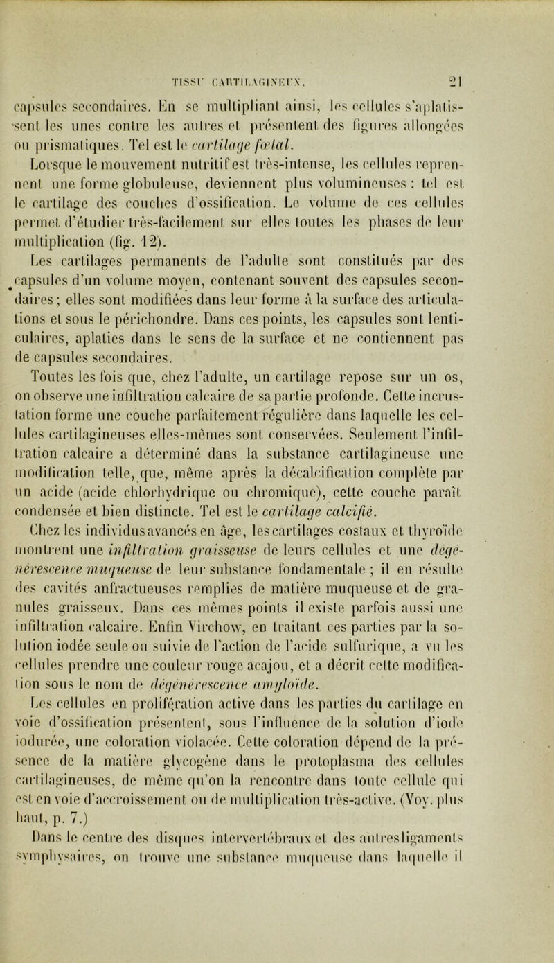 Tissr cM'.Tir.AciMirx. ra])siil(‘s socondairos. Va\ se rniilliplianl ainsi, les eellules s’aplalis- •senl les unes contre les anires el ])résenlenl des fii^nres allongées on prismatiques. Tel est le rarUlage fælal. Lorsque le mouvenieni nulrilifest ti'ès-inlense, lescellides repren- nenl une forme globuleuse, deviennent pins volumineuses : bd est le carlitai^’e des concbes (rossification. Le volume de ces cellnles permet d’étudier Irès-lacilement snr elles loutes les phases de leni’ multiplication (fig. 12). Les cartilages permanents de l’adulte sont constitués par des ^capsules d’un volume moyen, contenant souvent des capsules secon- daires ; elles sont modifiées dans leur forme à la surface des articula- tions el sous le périchondre. Dans ces points, les capsules sont lenti- culaires, aplaties dans le sens de la surface et ne contiennent pas de capsules secondaires. Toutes les fois que, chez l’adulte, un cartilage repose sur un os, on observe une infiltration calcaire de sa partie profonde. Cette incrns- lation forme une couche parfaitement régulière dans laquelle les cel- lules cartilagineuses elles-mêmes sont conservées. Seulement l’infd- tration calcaire a déterminé dans la substance cartilagineuse une modilication telle, que, même après la décalcification complète par un acide (acide chlorhydrique ou chromique), cette couche paraît condensée et bien distincte. Tel est le cartilage calcifié. Chez les individusavancés en âge, les cartilages costaux et thyroïde montrent une infltration graisseuse de leurs cellules et une clégé- uérescenre muqueuse de leur substance fondamentale; il en résulte des cavités anfractueuses remplies de matière muqueuse et de gra- nules graisseux. Dans ces mêmes points il existe parfois aussi une infdtration (*alcaire. Pantin Virchow, en traitant ces parties par la so- lution iodée seule ou suivie de faction de l’acide sulfurique, a vu les cellules prendre une couleur rouge acajou, el a décrit celte modifica- tion sous le nom de dégénérescence ami/lo'ide. Les cellules en prolifération active dans les parties du cartilage en voie d’ossification présentent, sous rinlluence de la solution d’iode iodiirée, une coloration violac/'c. Celle coloration dépend de la pré- sence de la matière glycogène dans le protoplasma des cellules cartilagineuses, de même qu’on la rencontre dans toute cellule qui est en voie d’accroissement ou de multiplication très-active. (Voy. plus haut, p. 7.) Dans le centre des disques intervertébraux et des aiitresligaments symphysaires, on trouve une suhstanc(‘ mmpieuse dans lacpielle il