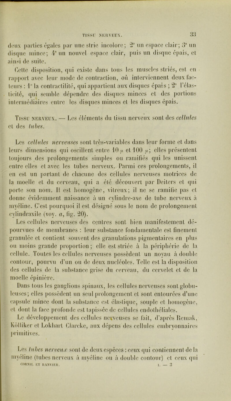 TISSU M';i;\'i:ux. •)* * cliMix parlies égales par uii(3 siric iiirolorc; un espace claii*; im (lisipie mince ; un nouvel espace claii*, [)uis un disque éqiais, el ainsi de siiile. (ielle disposilion, ipii existe dans tons les mnscl'is striés, est en rap[)ort avec leur mode de contraction, où interviennent deux l'ac- teurs : l la conlractilité, qui appartient aux disques épais ; Télas- tieité, fpii semlile dépendre des disques niinces et des })ortions interinédiaires entre les dis([iies minces el les disques épais. Tissu NKRVUUX. et des Inhes. Les éléments du tissu nerveux sont des cellules Les cellules nerveuses sont très-variables dans leur forme et dans leurs dimensions qui oscillent entre 10 ^ et 100 /y.; elles présentent toujours des prolongements simples ou ramifiés qui les unissent entre elles et avec les tubes nerveux. Parmi ces prolongements, il en est un partant de chacune des cellules nerveuses motrices de la moelle et du cerveau, qui a élé découvert par Deiters et ipii porte son nom. Il est homogène, vitreux; il ne se ramilie pas el donne évidemment naissance à un cylindre-axe de tube nerveux à myéline. C’est pourquoi il est désigné sous le nom de prolongement cylindraxile (voy. a, fig. 40). Les cellules nerveuses des centres sont bien manifestement dé- pourvues de membranes : leur substance fondamentale est rmement granulée et contient souvent des granulations pigmentaires en plus ou moins grande proportion; elle est striée à la périphérie de la cellule. Toutes les cellules nerveuses possèdent un noyau à double contour, pourvu d’un ou de deux nucléoles. Telle est la disposition des cellules de la substance grise du cerveau, du cervelet et de la moelle épinière. Dans tous les ganglions .s))inaux, les cellules nerveuses sontglolui- leuses; elles })Ossèdent un seul piulongement et sont entourées d’une capsule mince dont la substance est élastiipie, souple et bomogèue, et dont la face pi’olbiide est tapissée de cellules eiidolbéliales. Le développement des cellules nerveuses se fait, d’après lleimik, KoHiker el Lokliart (llarcke, aux dépens des cellules embryonnaires primitives. Les Inbes nerveux sont de deux espèces : ceux ipii conitiennenl de la myéline (tubes nerveux à myéline ou à double contour) et ceux ipii COItMl, |;t liANVIKH. I. — ']