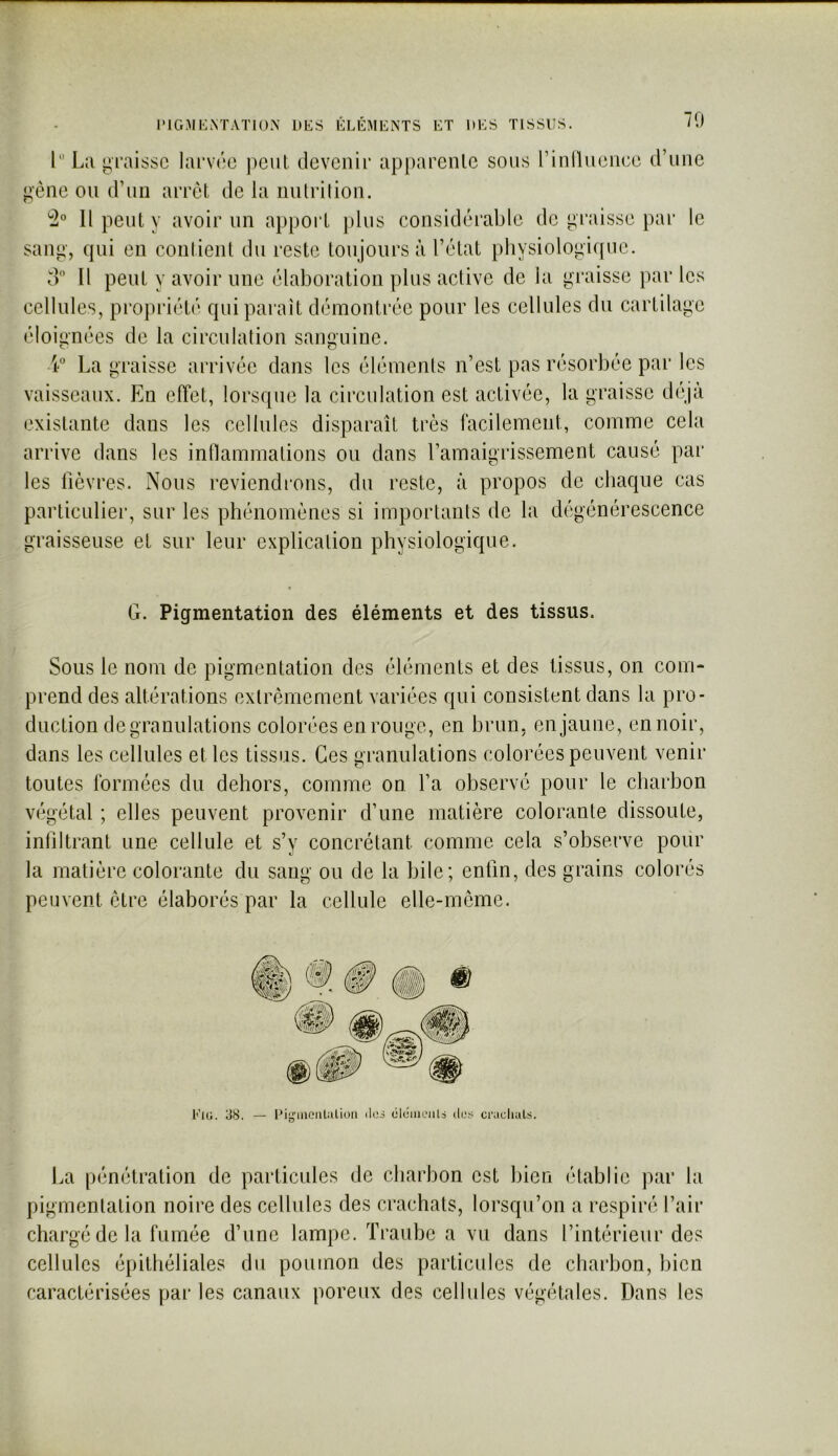 IMGMKiNTATlON DES ÉLÉMENTS ET DES TISSUS. 70 1 La graisse larvoo peut devenu’ ap[)arenle sous rinllueiice d’une ^'ène ou d’un arrêt de la nutrition. 2° H peut y avoir un apport plus considérable de graisse par le san^‘, qui en conlient du reste toujours à l’état physiologique. o Il peut y avoir une élaboration plus active de la graisse par les cellules, propriété qui paraît démontrée pour les cellules du cartilage éloignées de la circulation sanguine. La graisse arrivée dans les éléments n’est pas résorbée par les vaisseaux. En effet, lorsque la circulation est activée, la graisse déjà existante dans les cellules disparaît très facilement, comme cela arrive dans les inflammations ou dans l’amaigrissement causé par les lièvres. Nous reviendrons, du reste, à propos de chaque cas particulier, sur les phénomènes si importants de la dégénérescence graisseuse et sur leur explication physiologique. G. Pigmentation des éléments et des tissus. Sous le nom de pigmentation des éléments et des tissus, on com- prend des altérations extrêmement variées qui consistent dans la pro- duction de granulations colorées en rouge, en brun, en jaune, en noir, dans les cellules et les tissus. Ces granulations colorées peuvent venir toutes formées du dehors, comme on l’a observé pour le charbon végétal ; elles peuvent provenir d’une matière colorante dissoute, infiltrant une cellule et s’y concrétant comme cela s’observe pour la matière colorante du sang ou de la bile; enfin, des grains colorés peuvent être élaborés par la cellule elle-même. Eig. 38. — dos clémoiiLs dos craoluils. La pénétration de particules de charbon est bien établie par la pigmentation noire des cellules des crachats, lorsqu’on a respiré l’air chargé de la fumée d’une lampe. Traube a vu dans l’intérieur des cellules épithéliales du poumon des particules de charbon, bien caractérisées par les canaux poreux des cellules végétales. Dans les